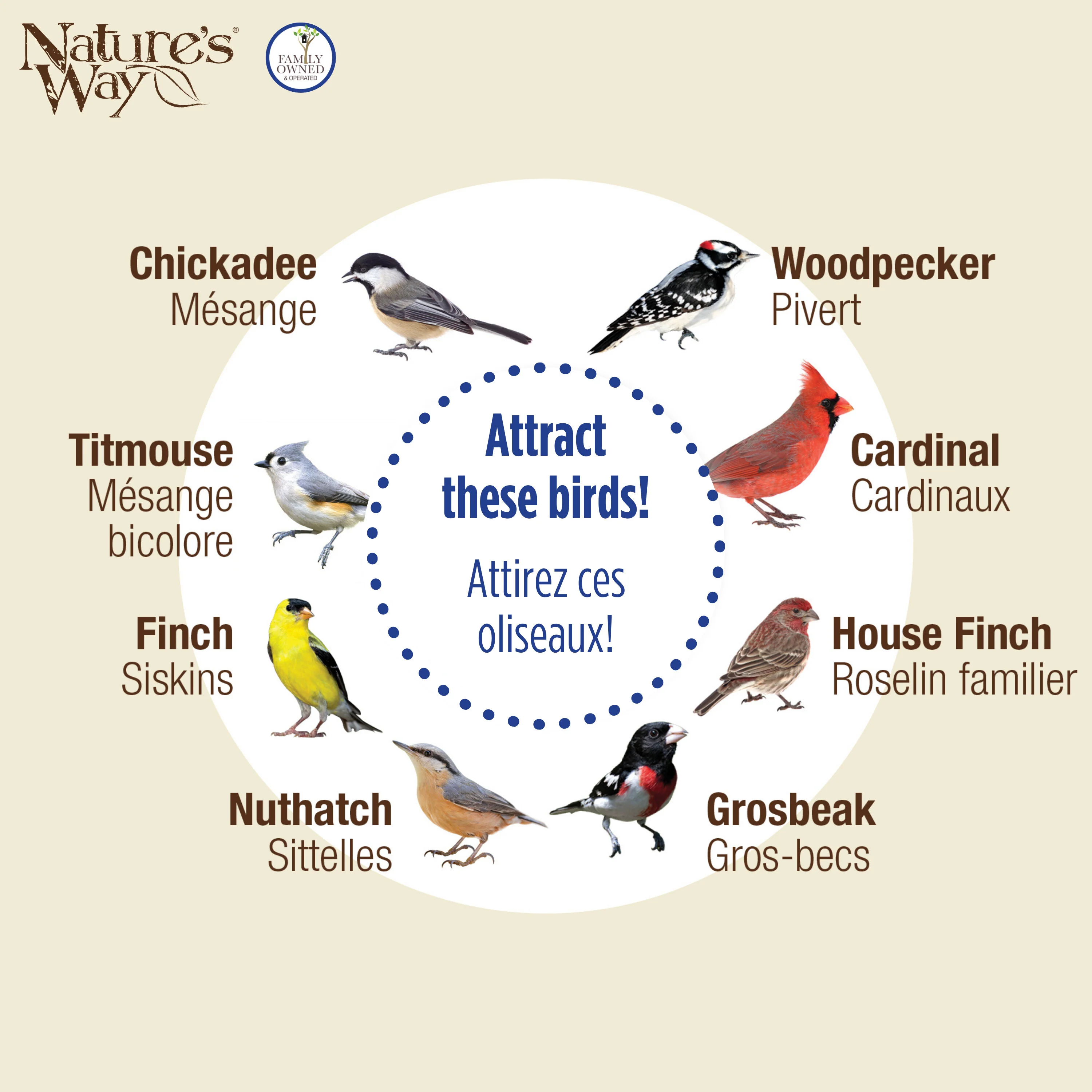 Wide Deluxe Funnel Flip-Top Tube Feeder - Image 5