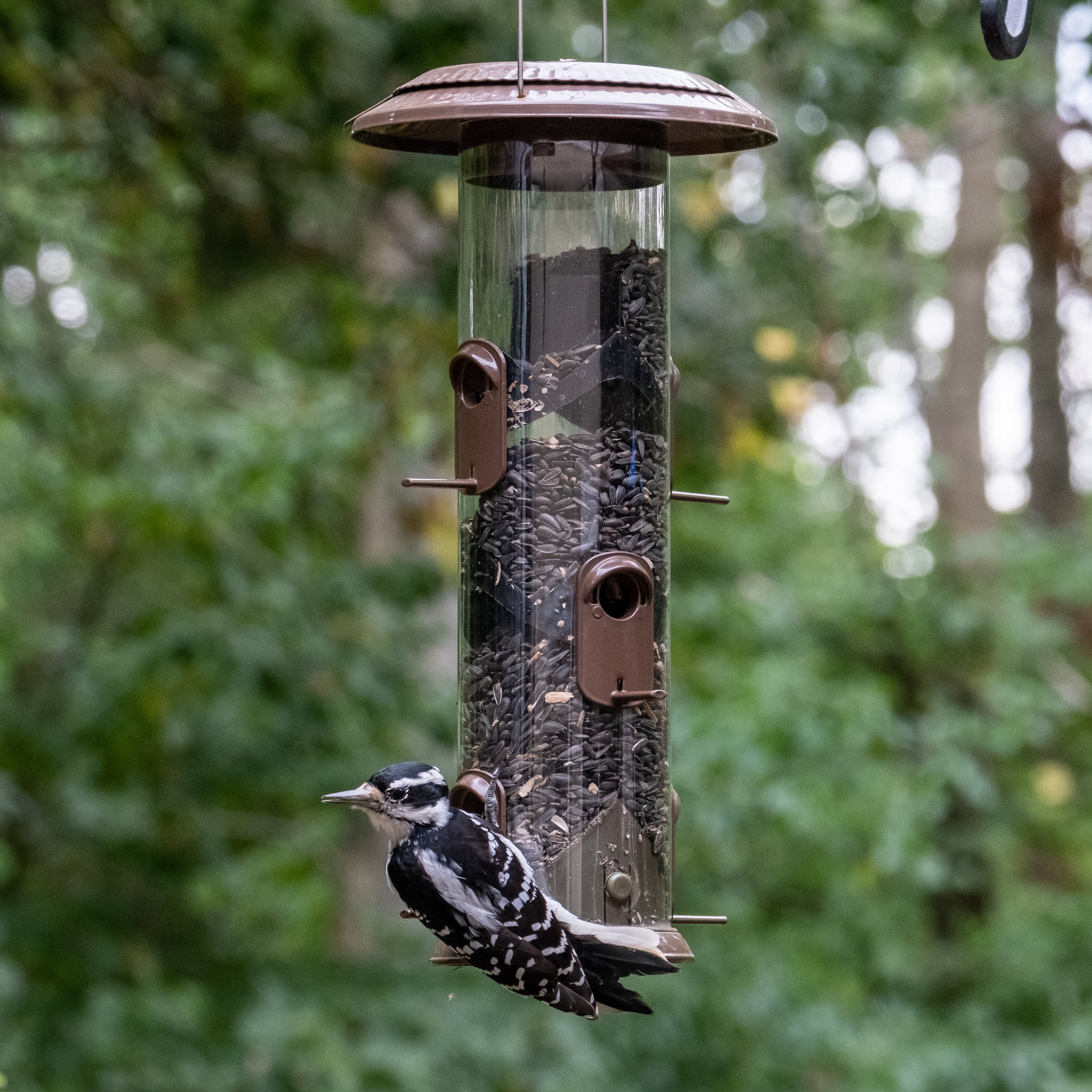 Wide Deluxe Funnel Flip-Top Tube Feeder - Image 7