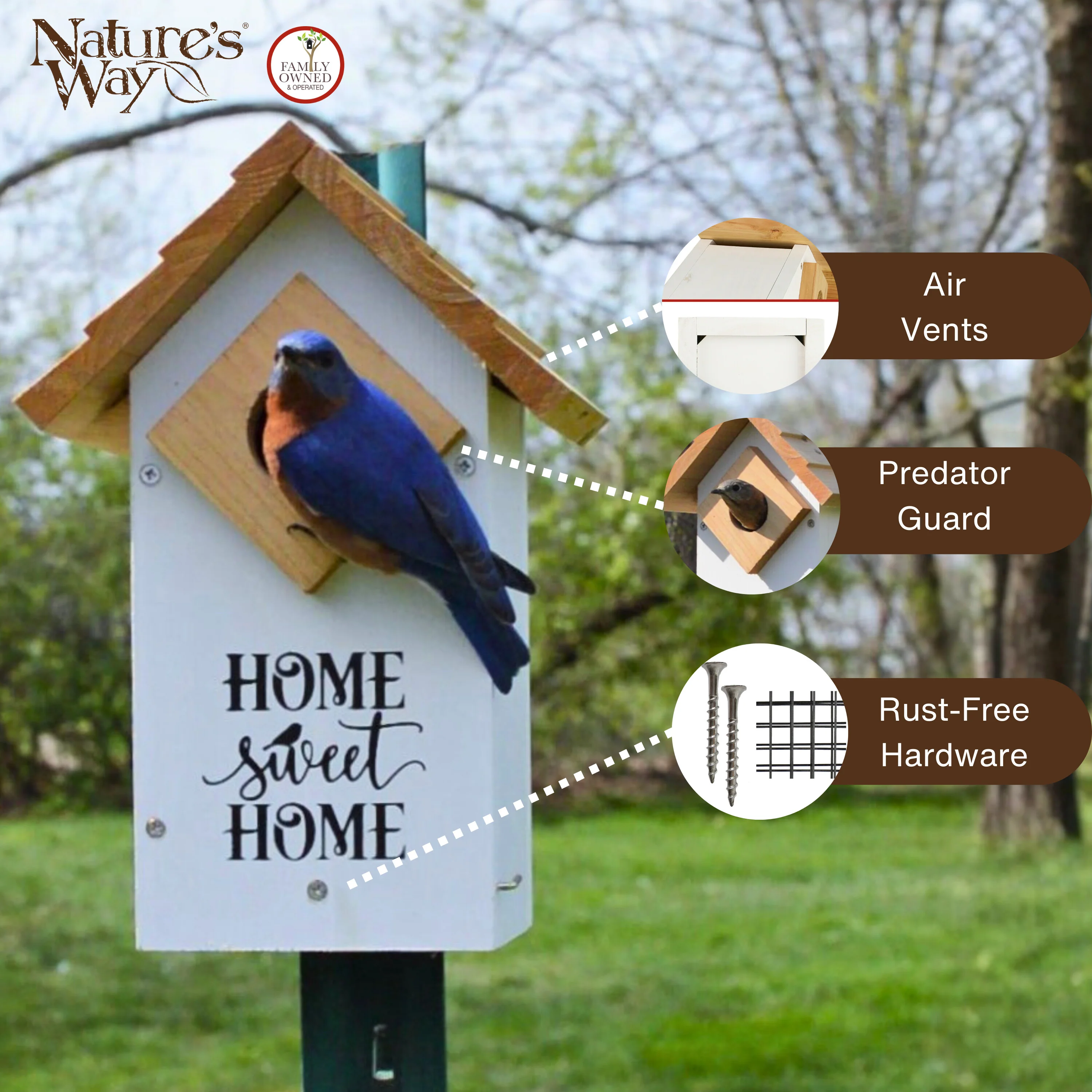 Farmhouse Cedar Bluebird House - Image 3