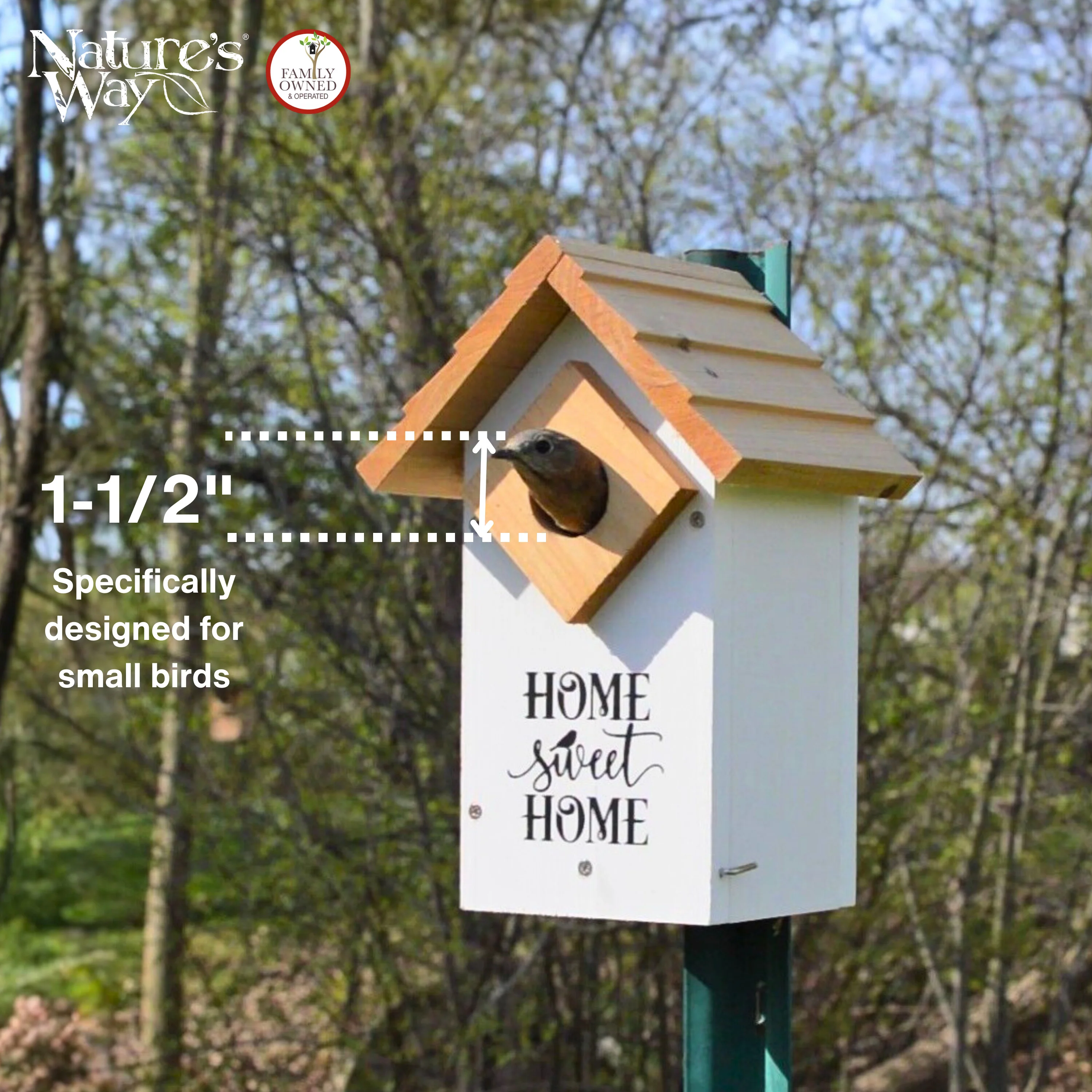 Farmhouse Cedar Bluebird House - Image 5