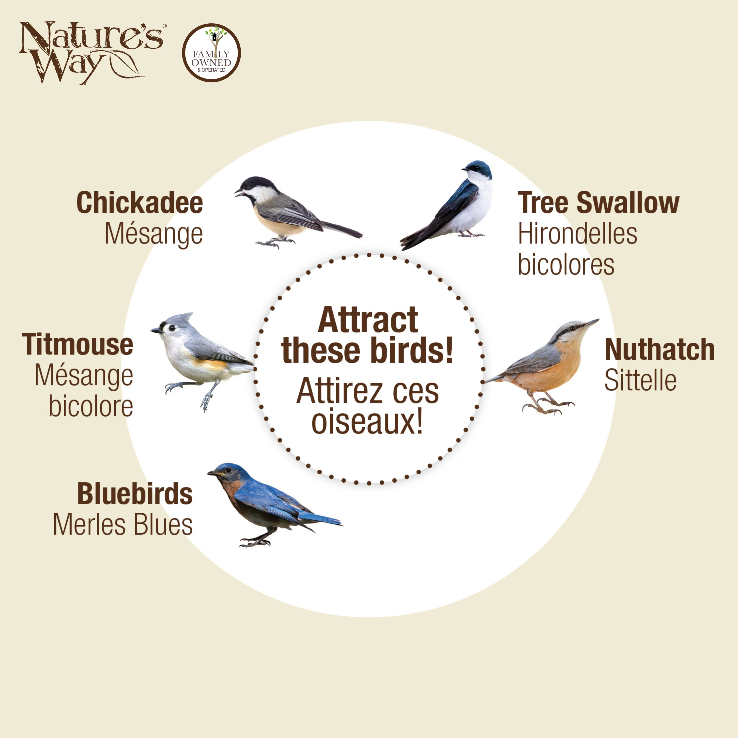 Verdant Petals Decorative Bluebird House - Image 6