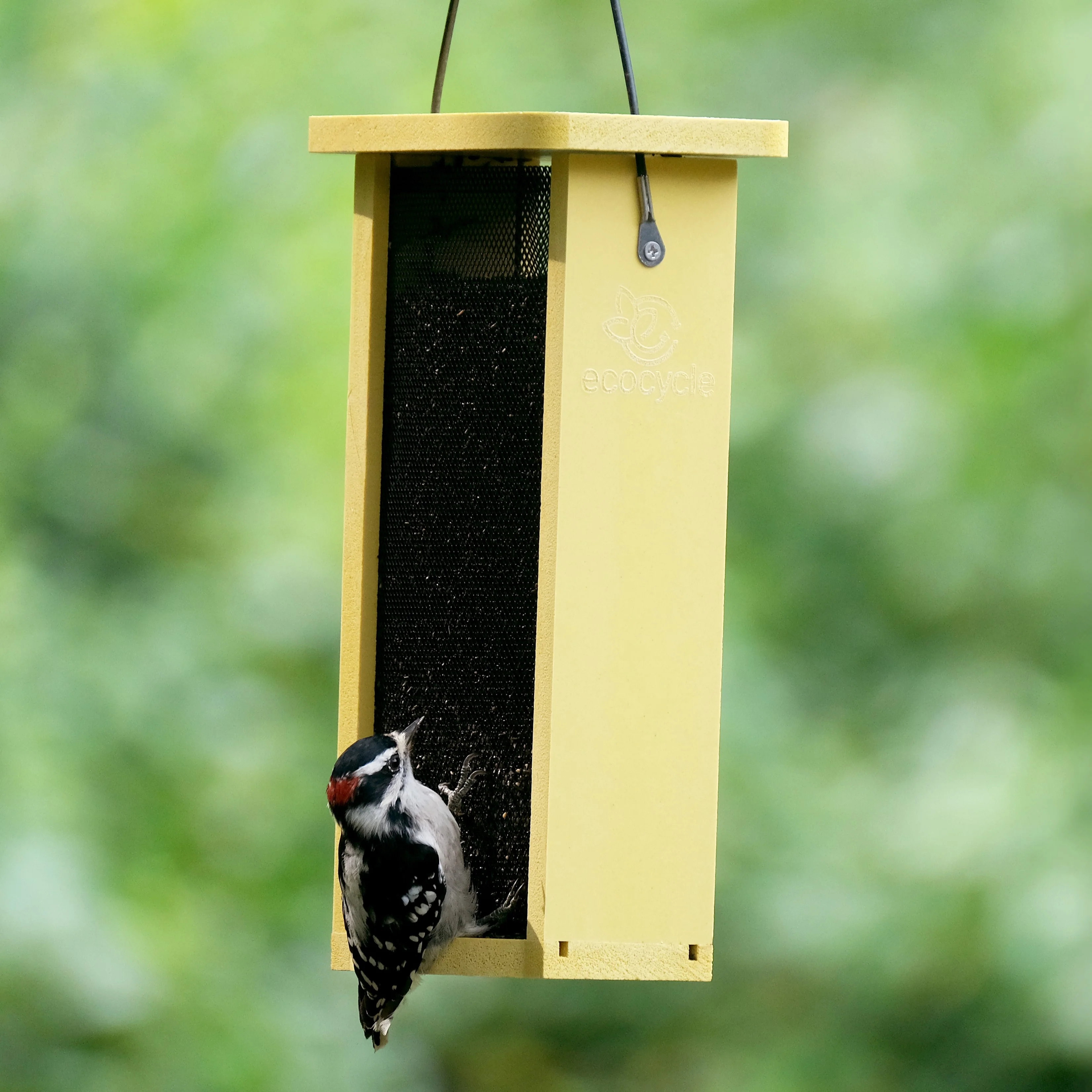 Finch Fare Recycled Plastic Thistle Mesh Bird Feeder - Image 7