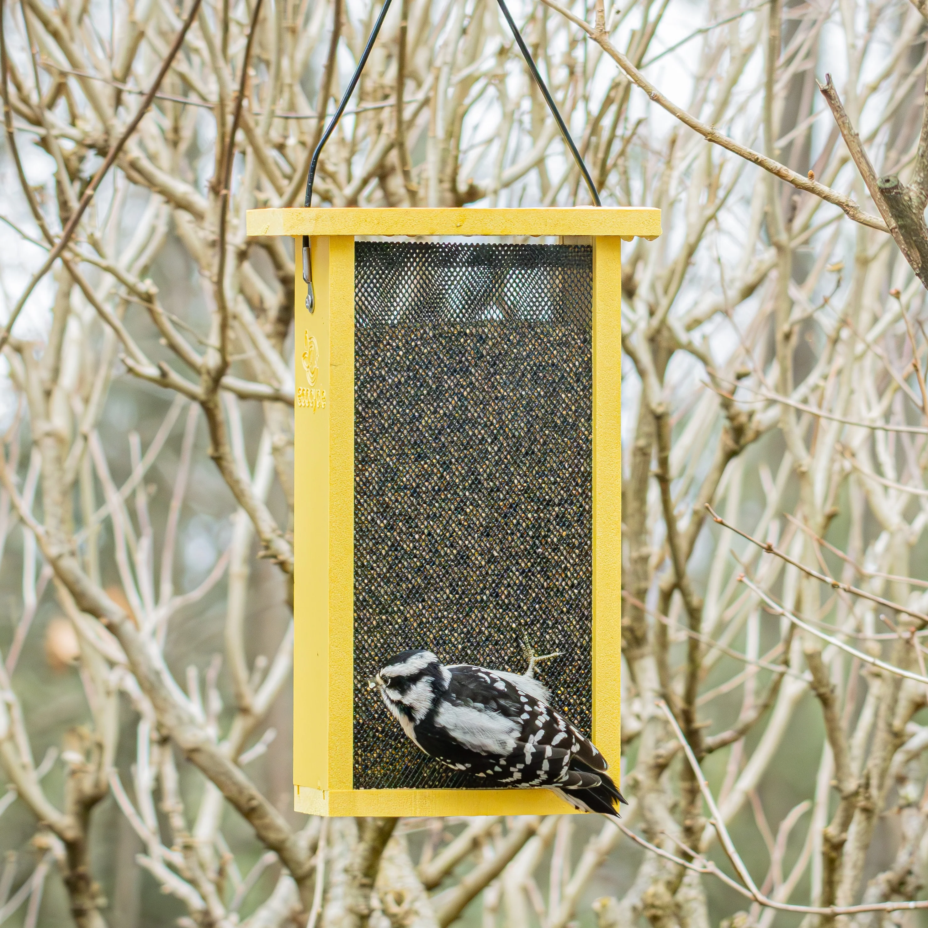 Finch Fare Recycled Plastic Thistle Mesh Bird Feeder - Image 9