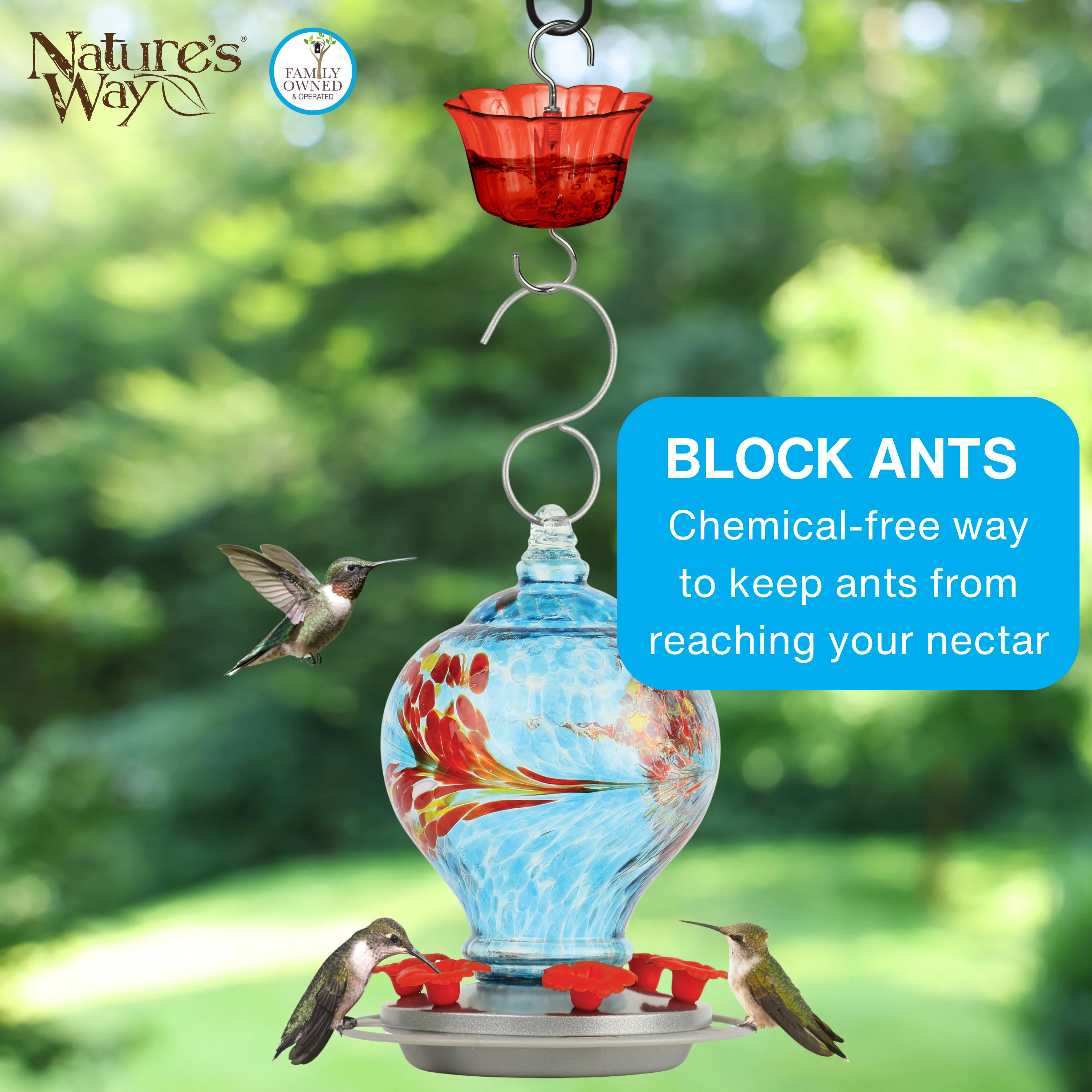4-Pack Red Hummingbird Feeder Ant Moat - Image 3