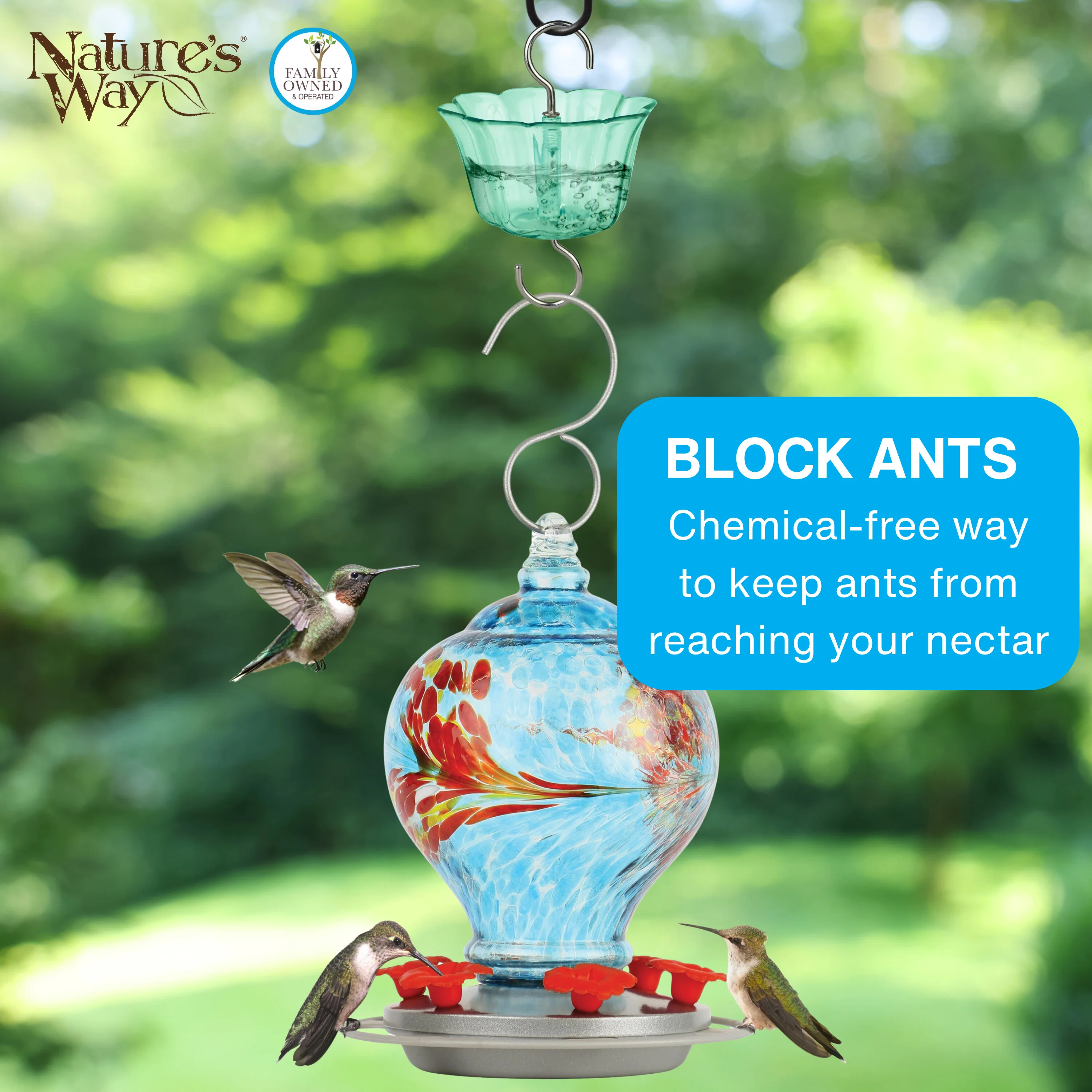 4-Pack Teal Hummingbird Feeder Ant Moat - Image 3