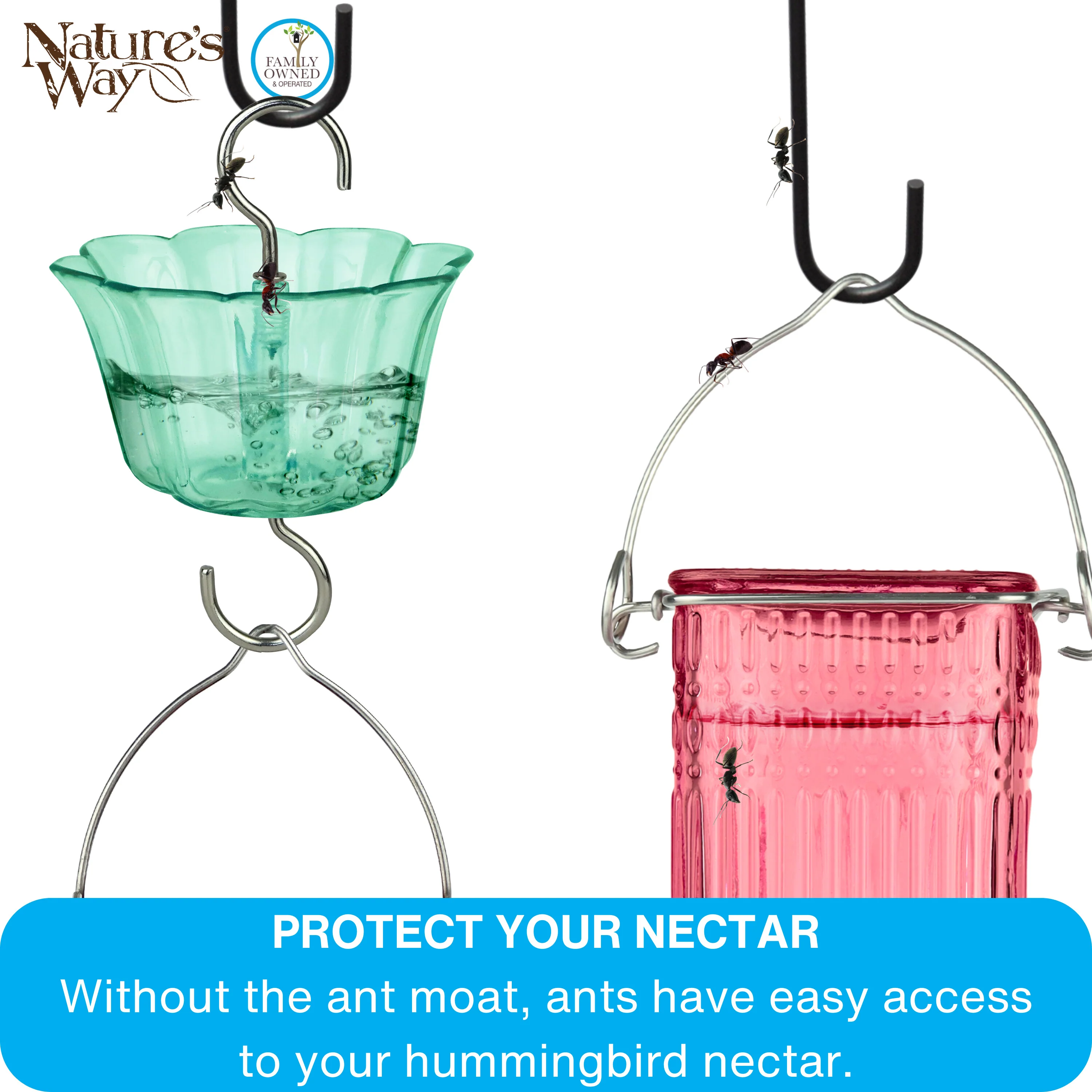 4-Pack Teal Hummingbird Feeder Ant Moat - Image 5