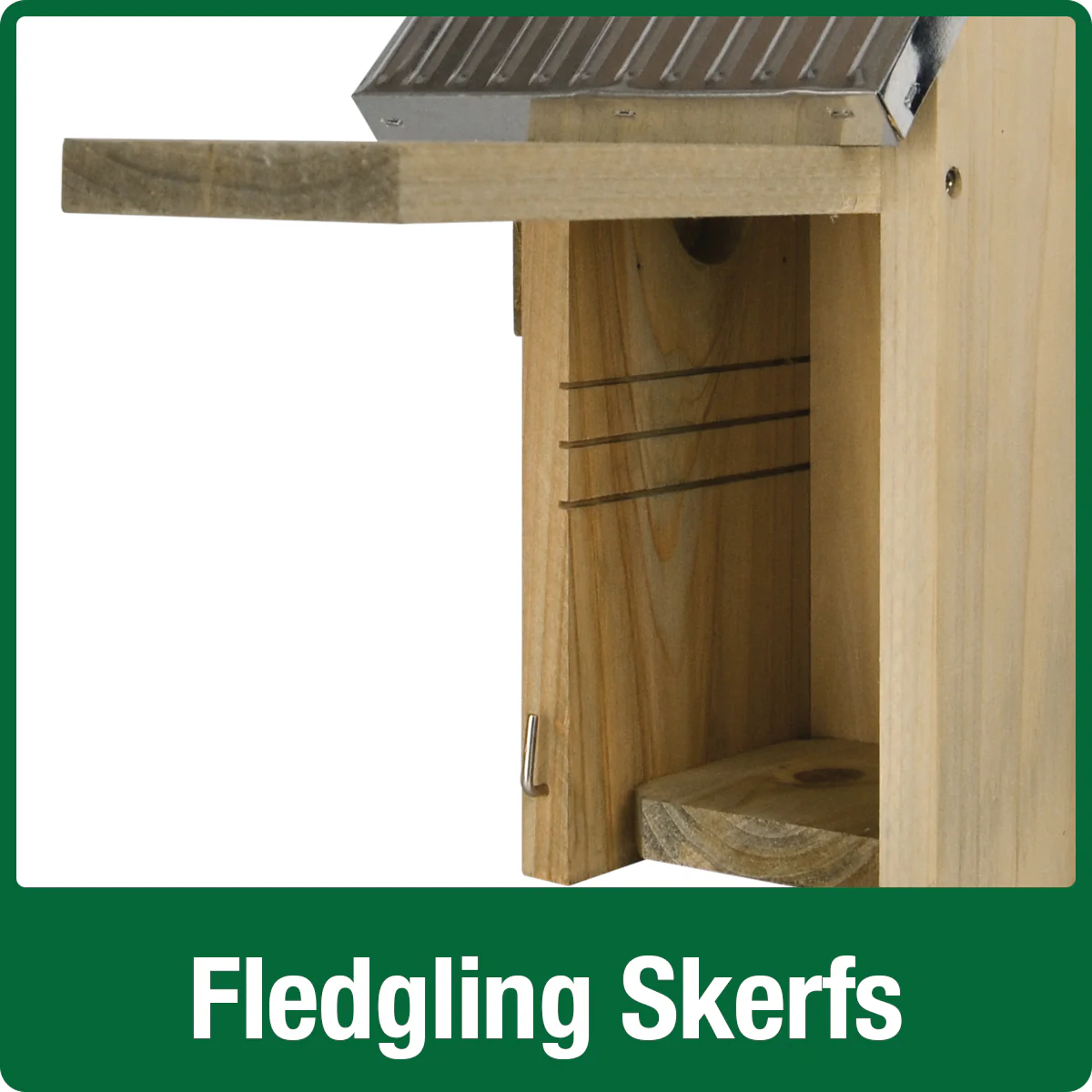 Galvanized Weathered Bluebird House - Image 5