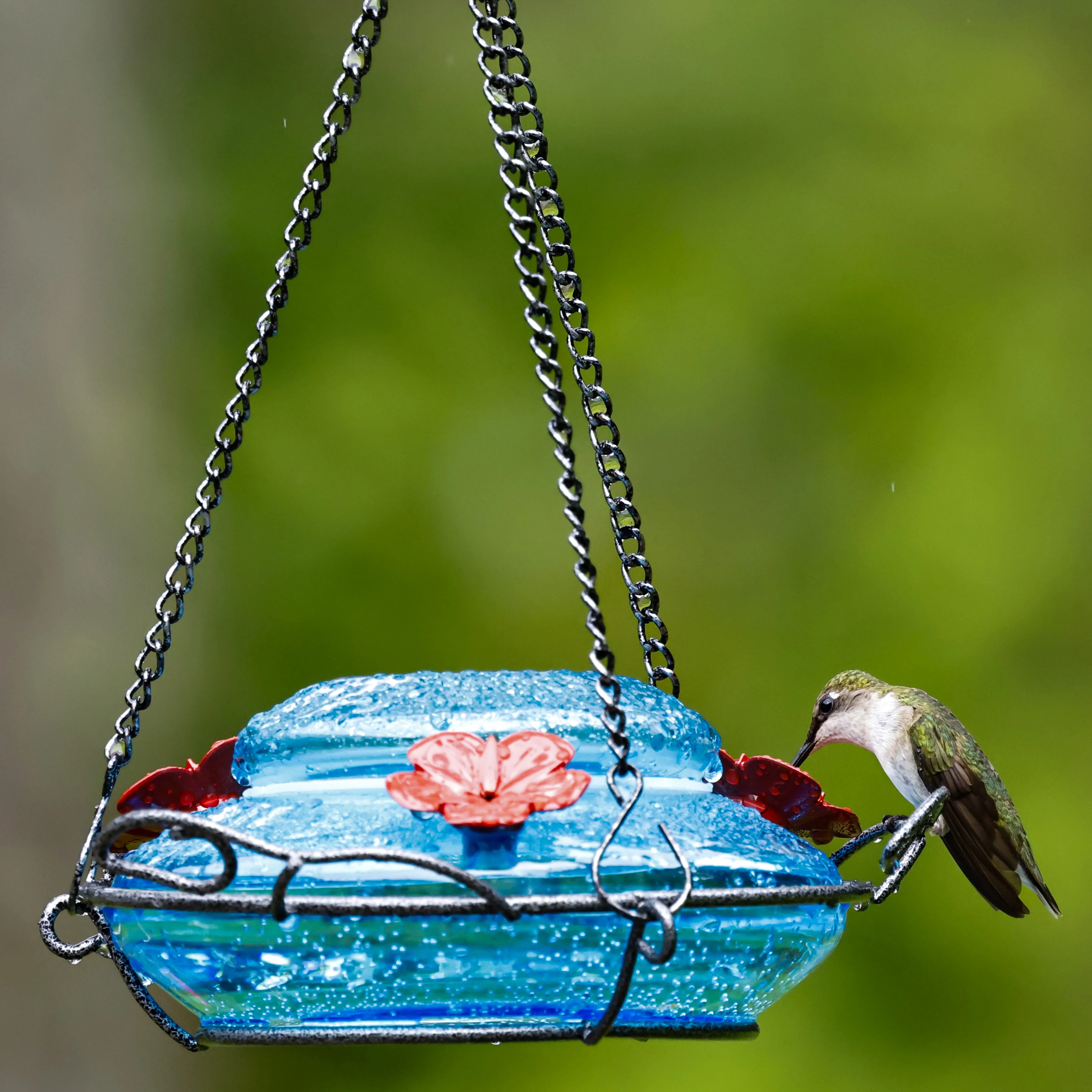 Mason Jar Blue Handblown Glass Top-Fill Dish Hummingbird Feeder - Image 11