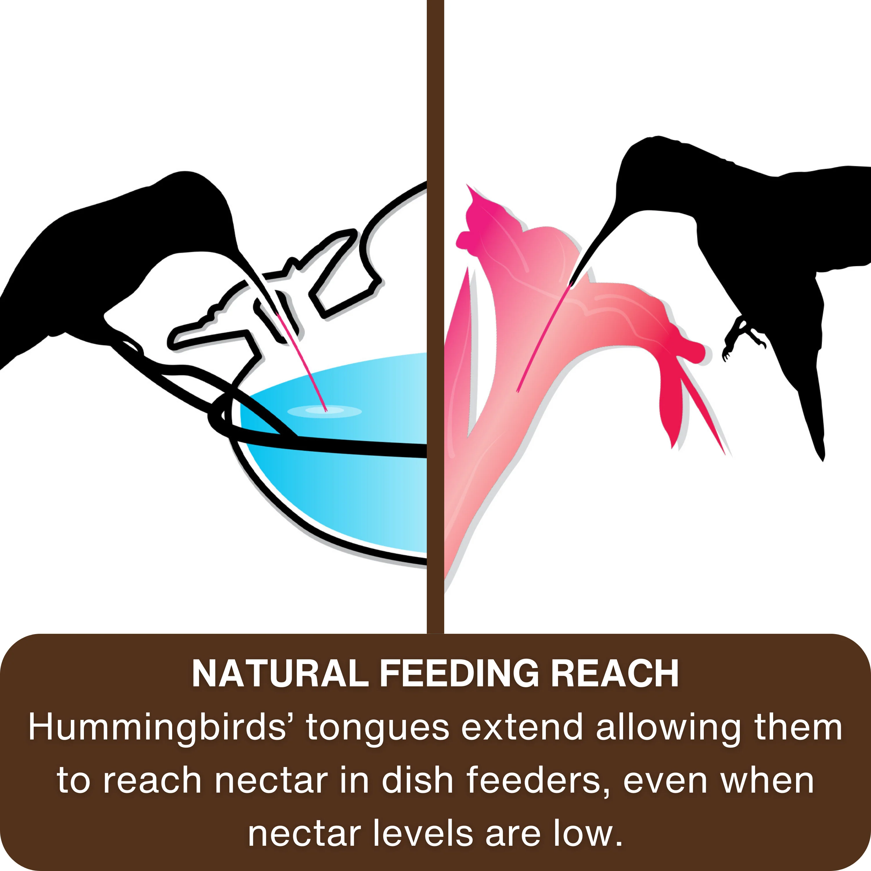 Mason Jar Blue Handblown Glass Top-Fill Dish Hummingbird Feeder - Image 5