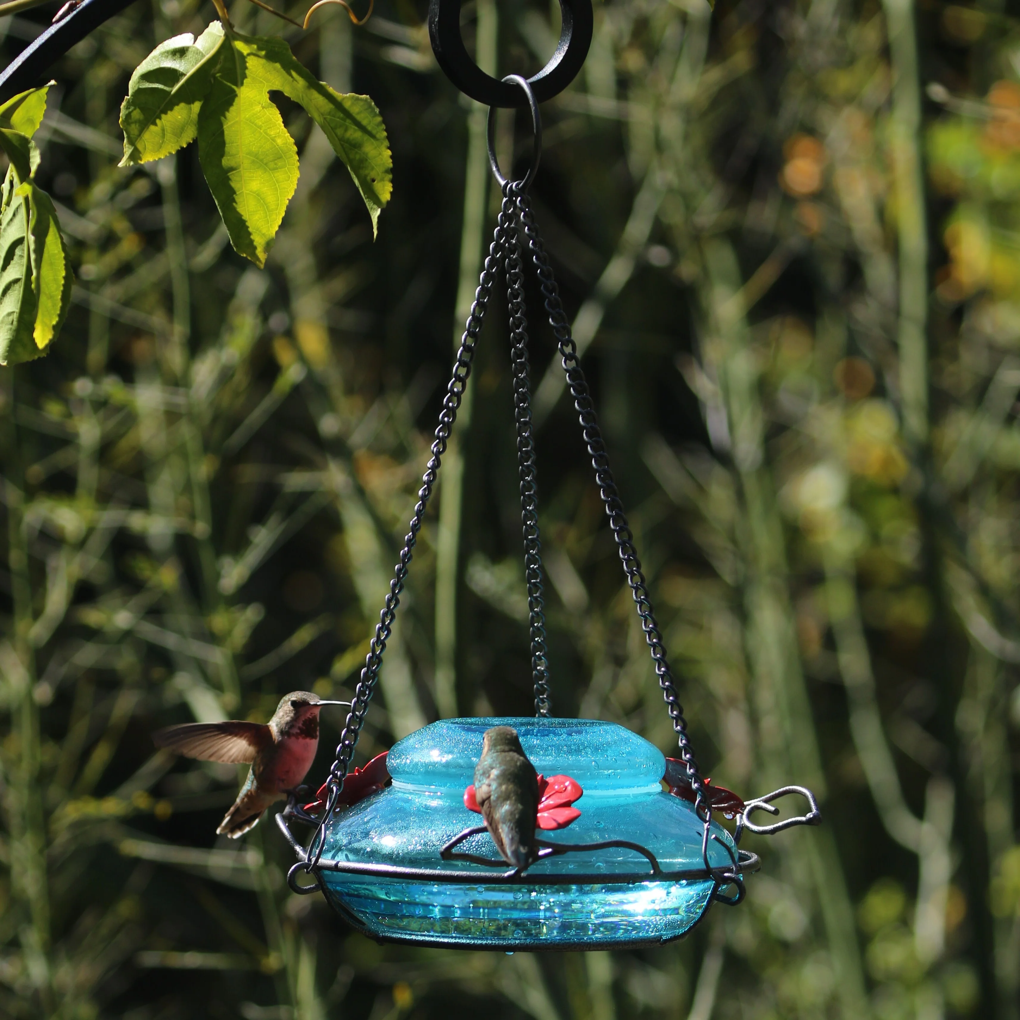 Mason Jar Blue Handblown Glass Top-Fill Dish Hummingbird Feeder - Image 8