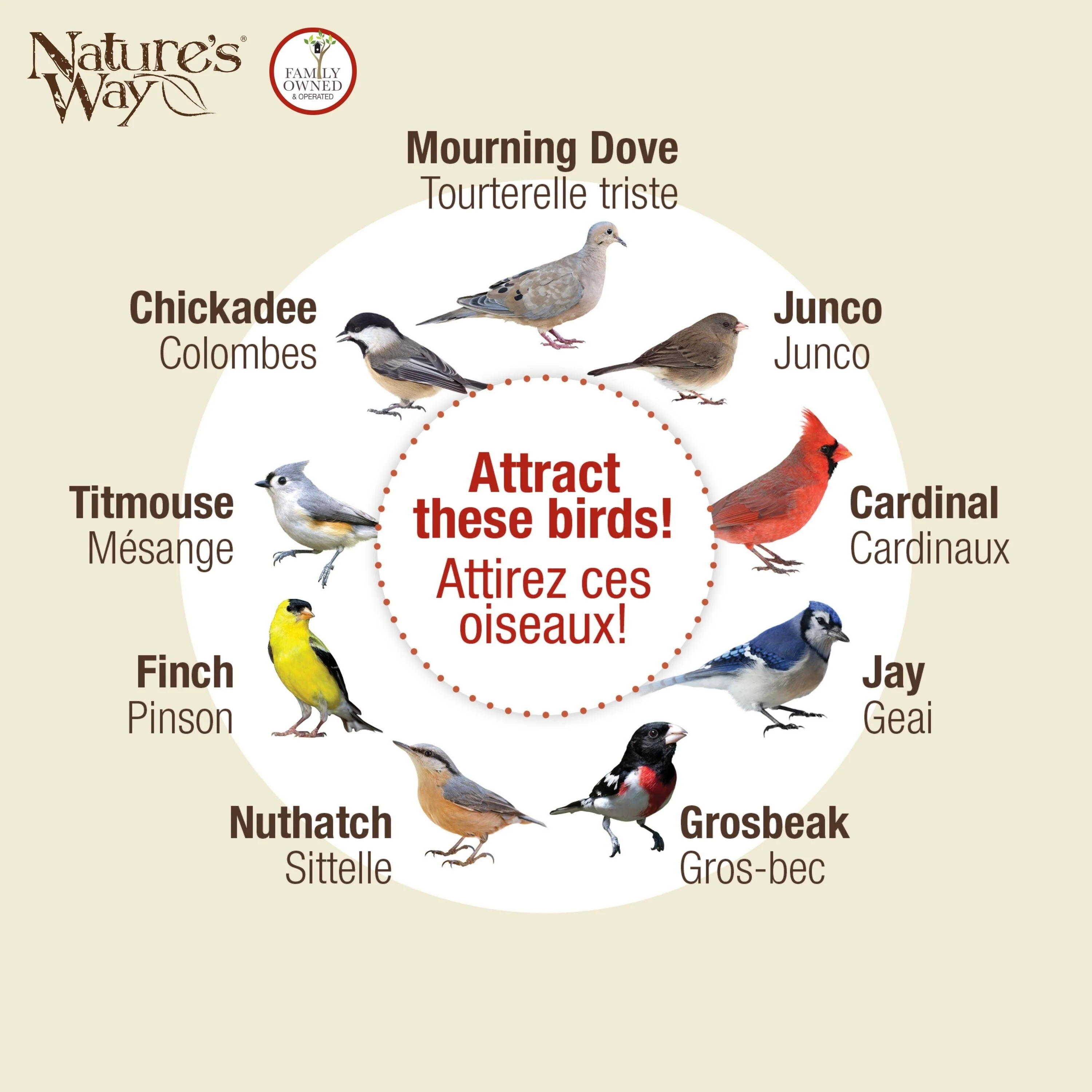 Cedar Hanging Platform Feeder - Image 5