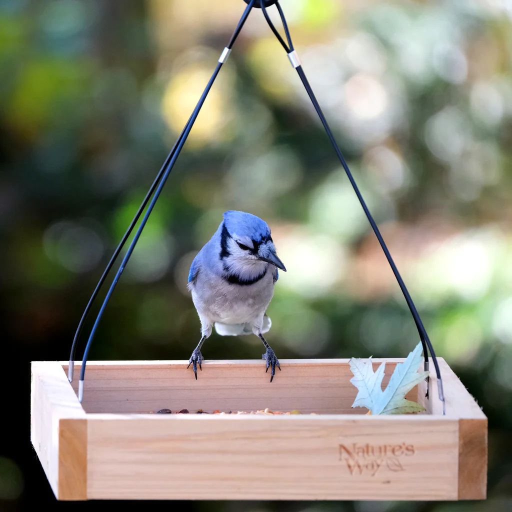 Cedar Hanging Platform Feeder - Image 9