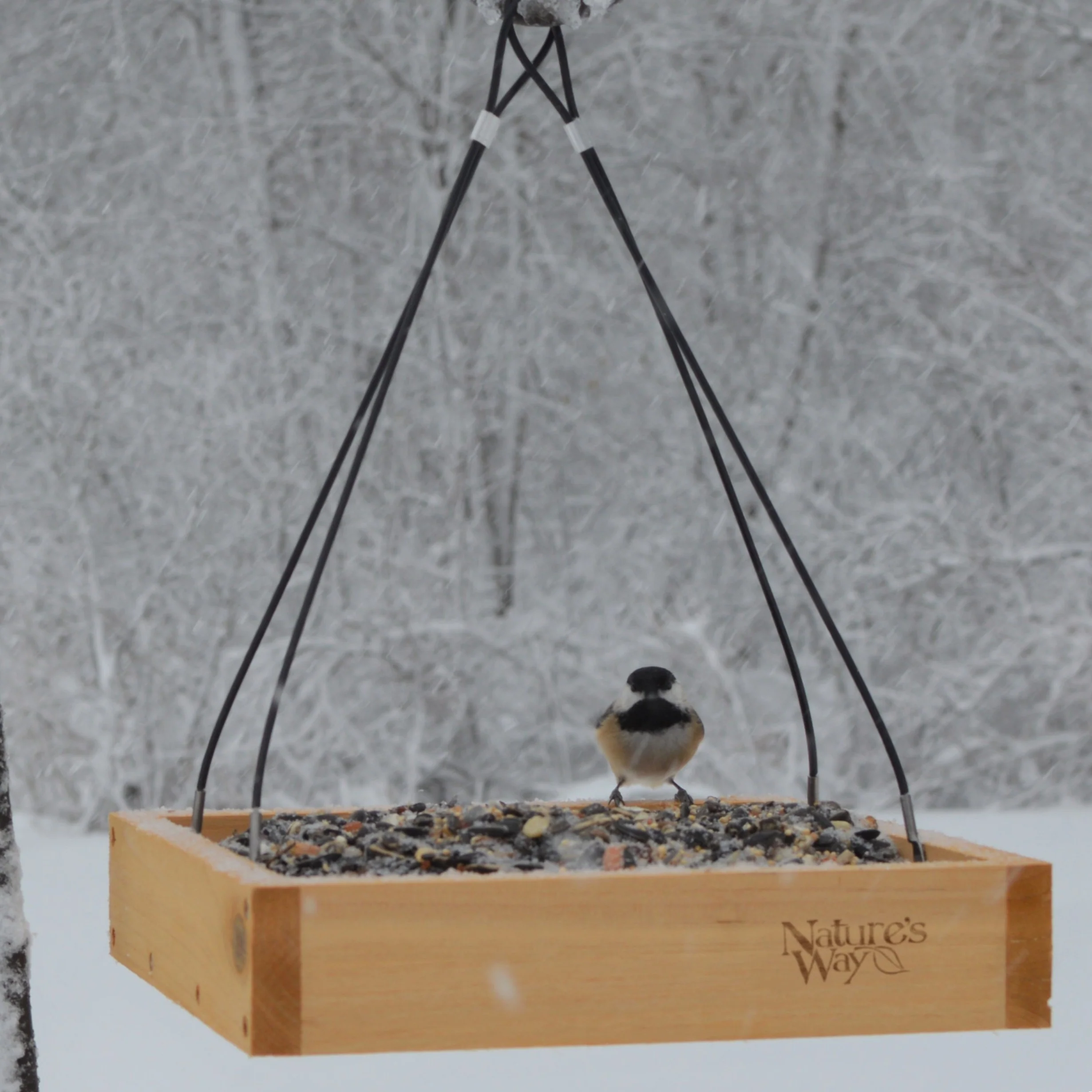 Cedar Hanging Platform Feeder - Image 10