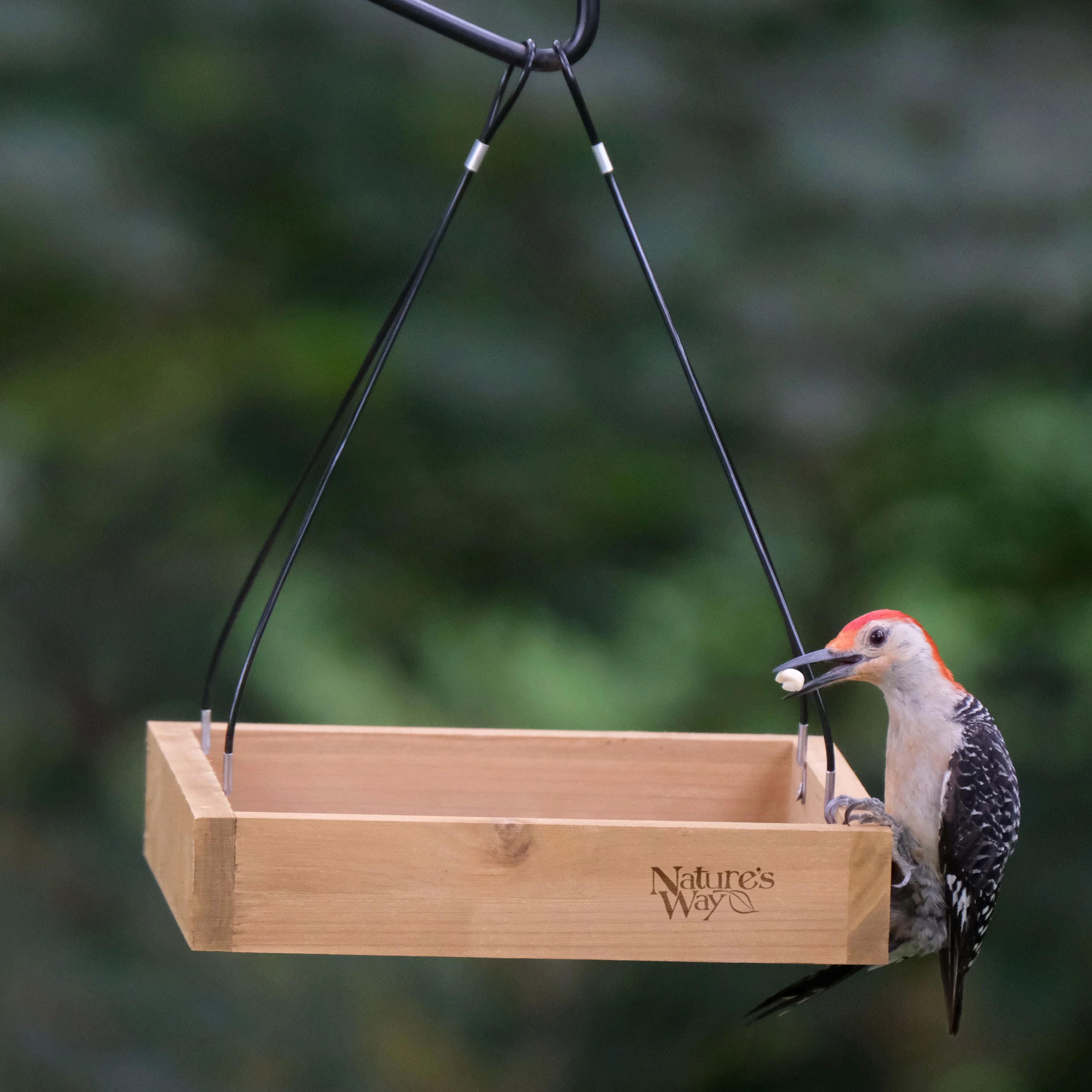 Cedar Hanging Platform Feeder - Image 8