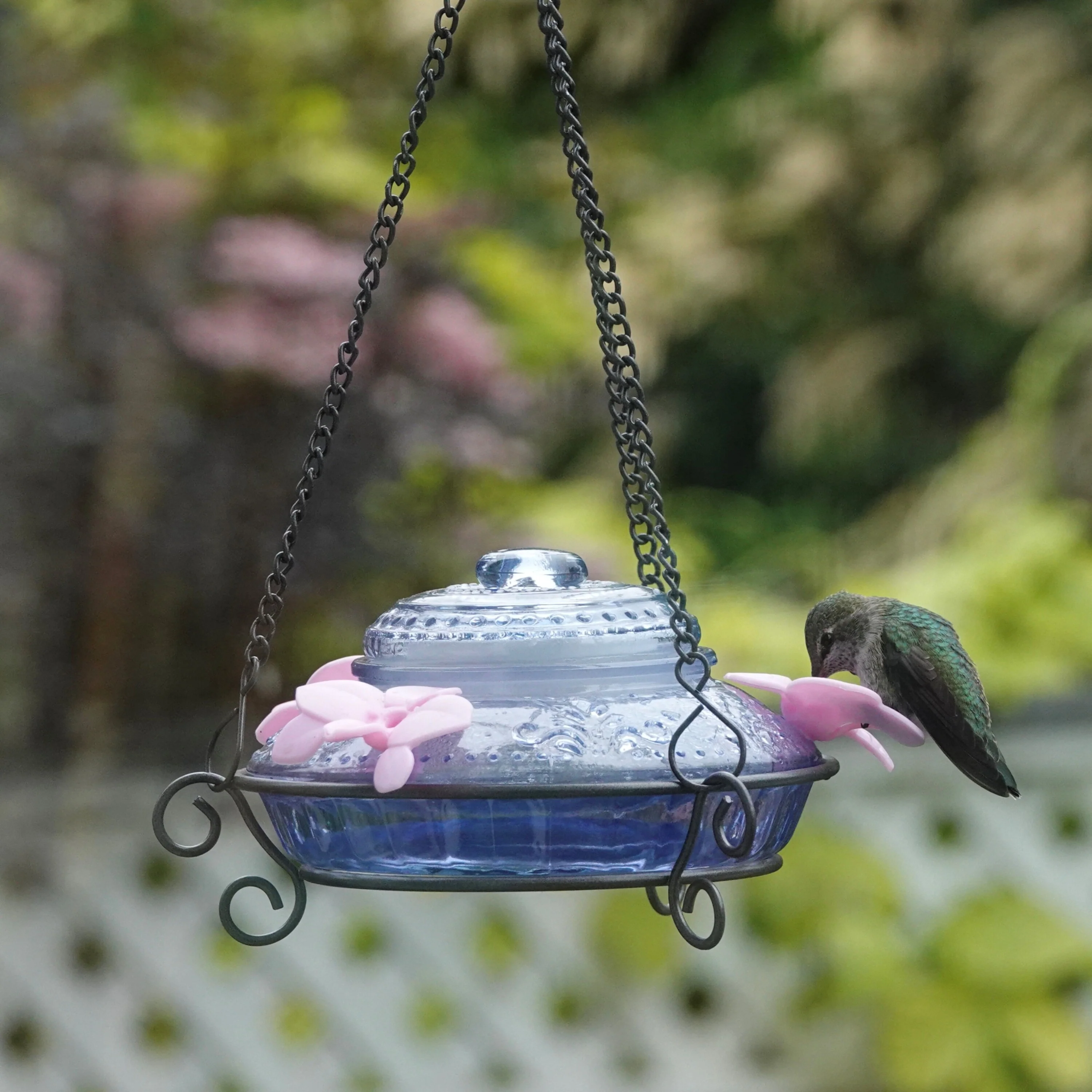 Illuminated Blue Antique Top-Fill Dish Hummingbird Feeder - Image 8