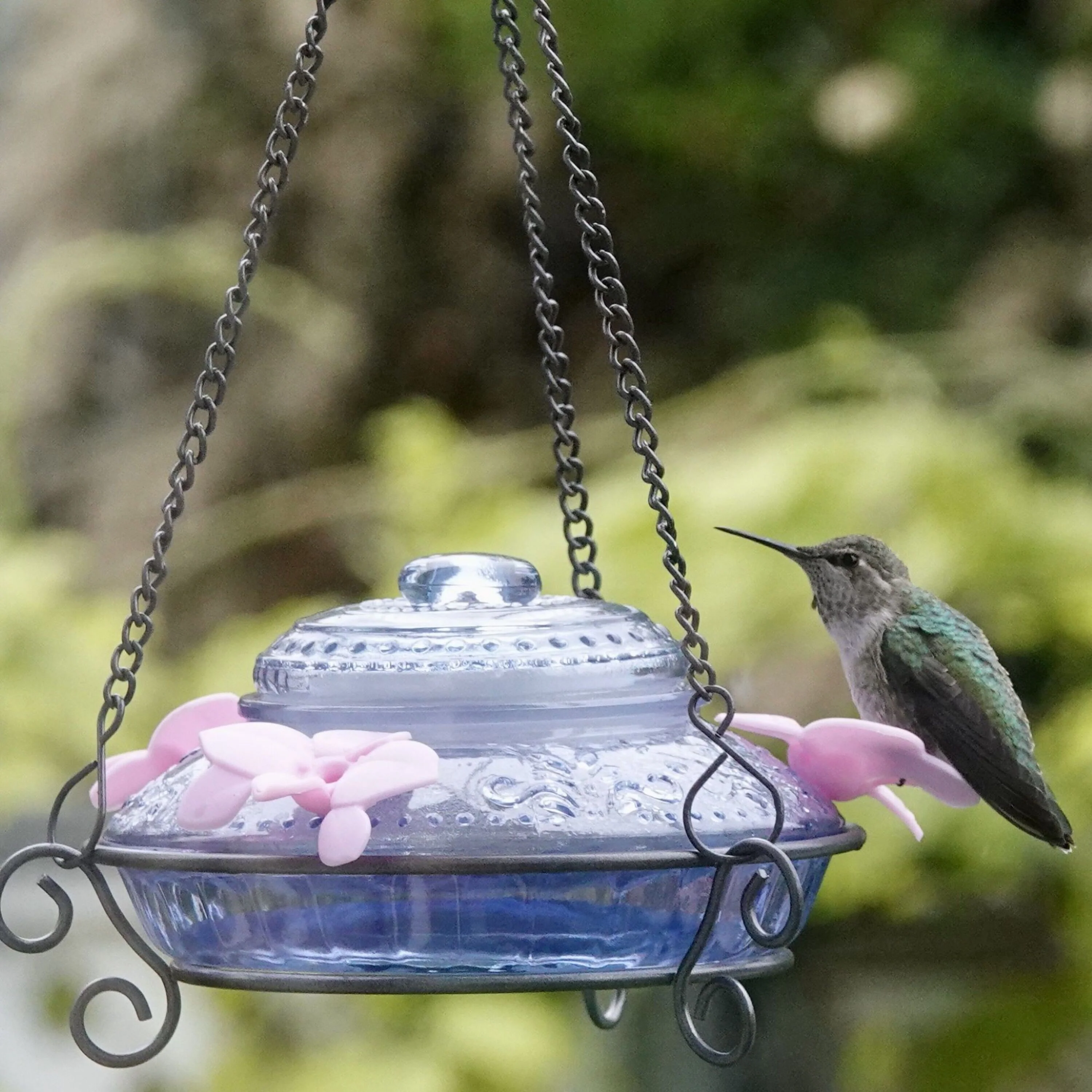 Illuminated Blue Antique Top-Fill Dish Hummingbird Feeder - Image 9