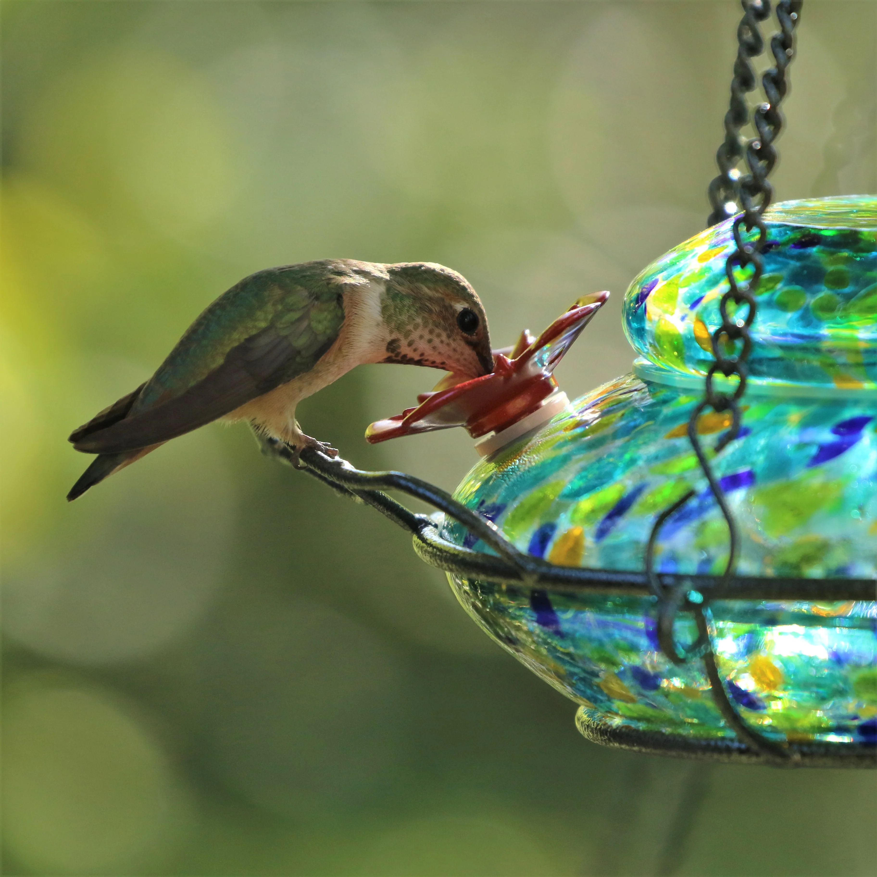 Spring Rain Illuminated Handblown Glass Top-Fill Hummingbird Feeder - Image 10