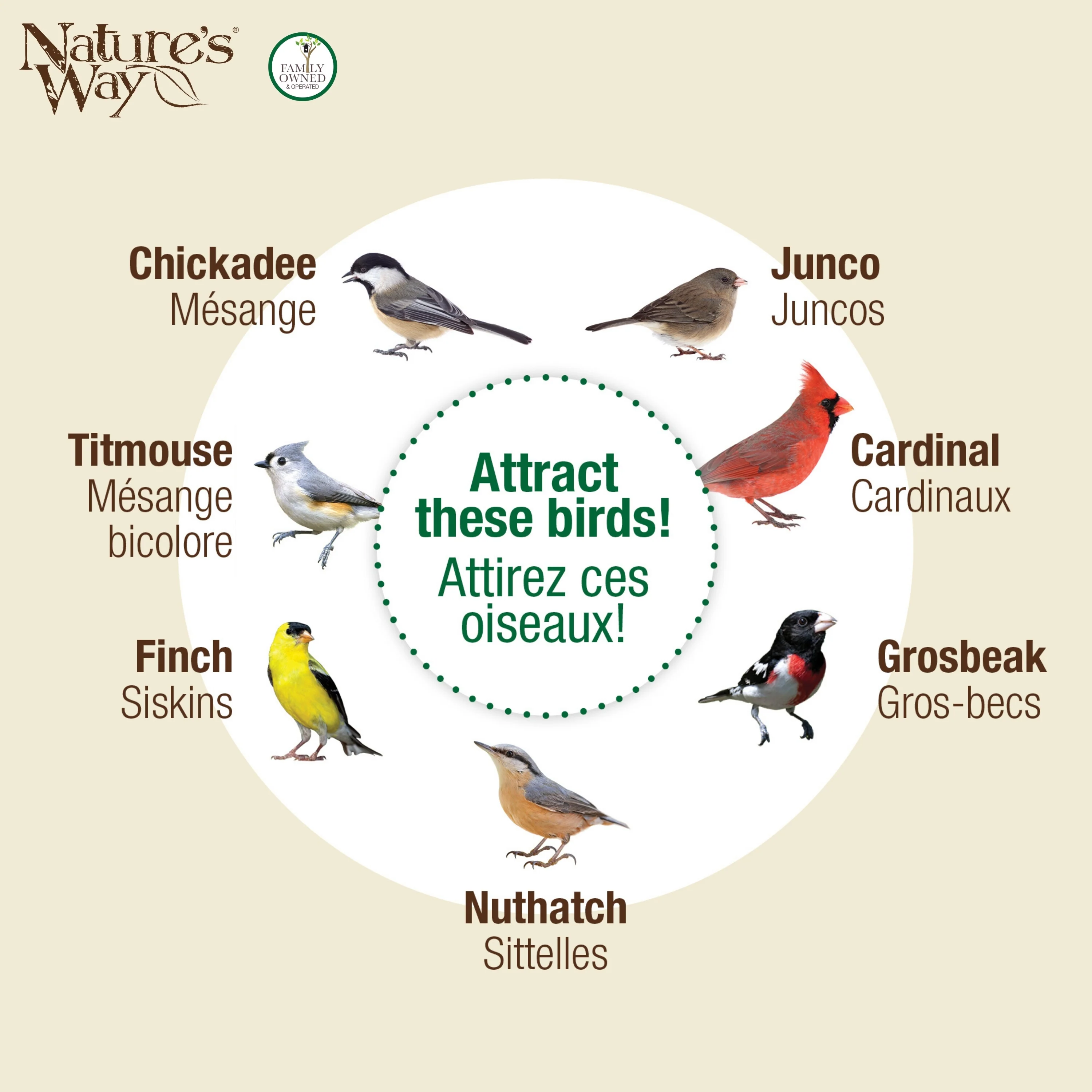 Large Plastic Tube Bird Feeder - Black - Image 5