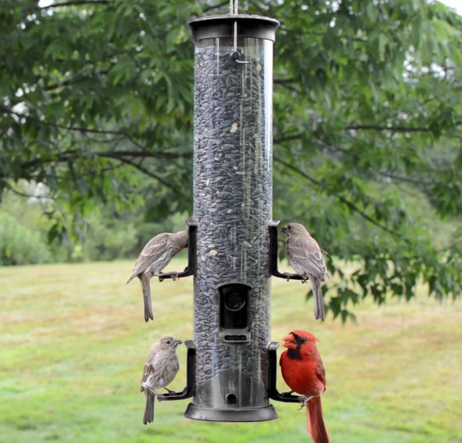 Large Plastic Tube Bird Feeder - Black - Image 7