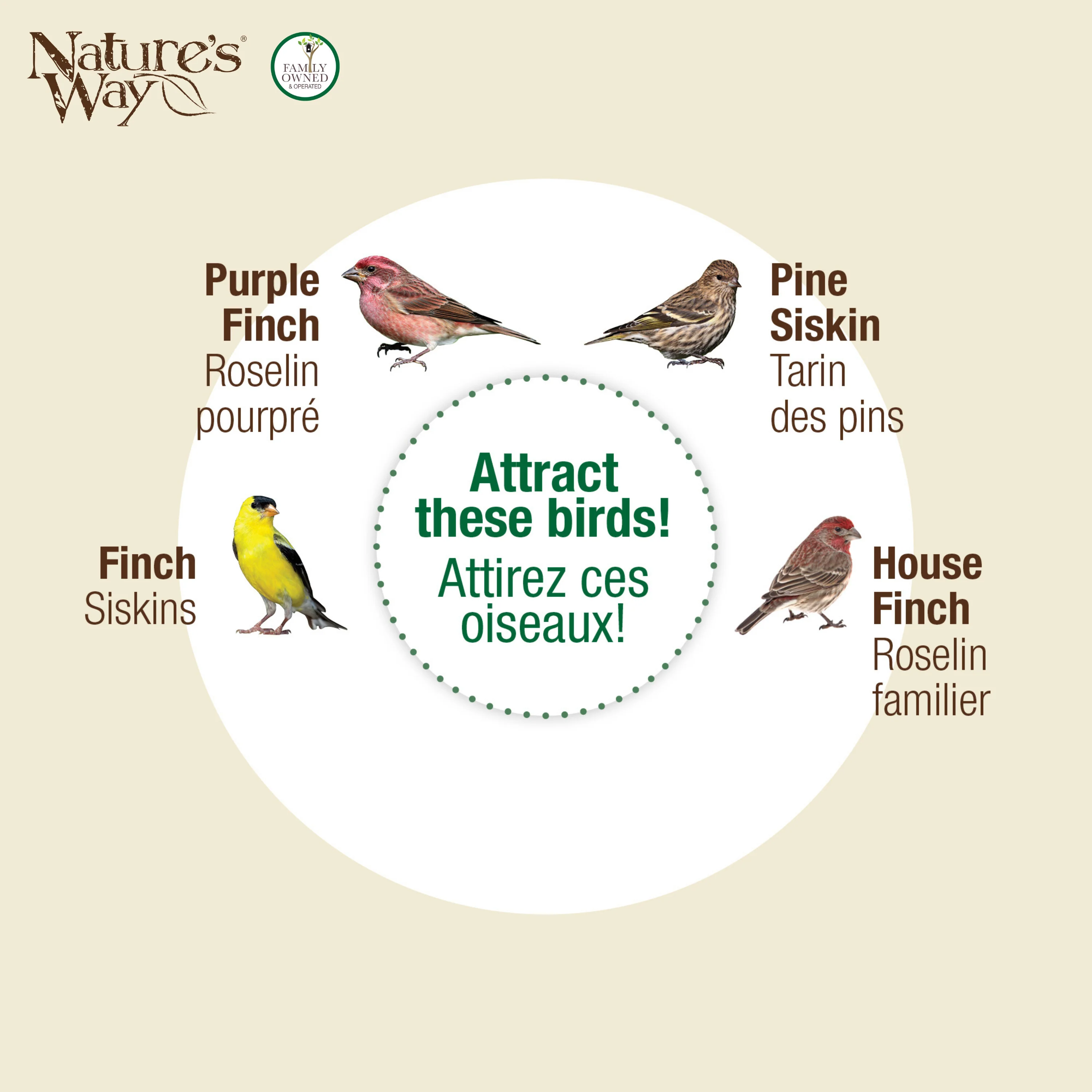 Large Plastic Thistle Tube Bird Feeder - Image 5