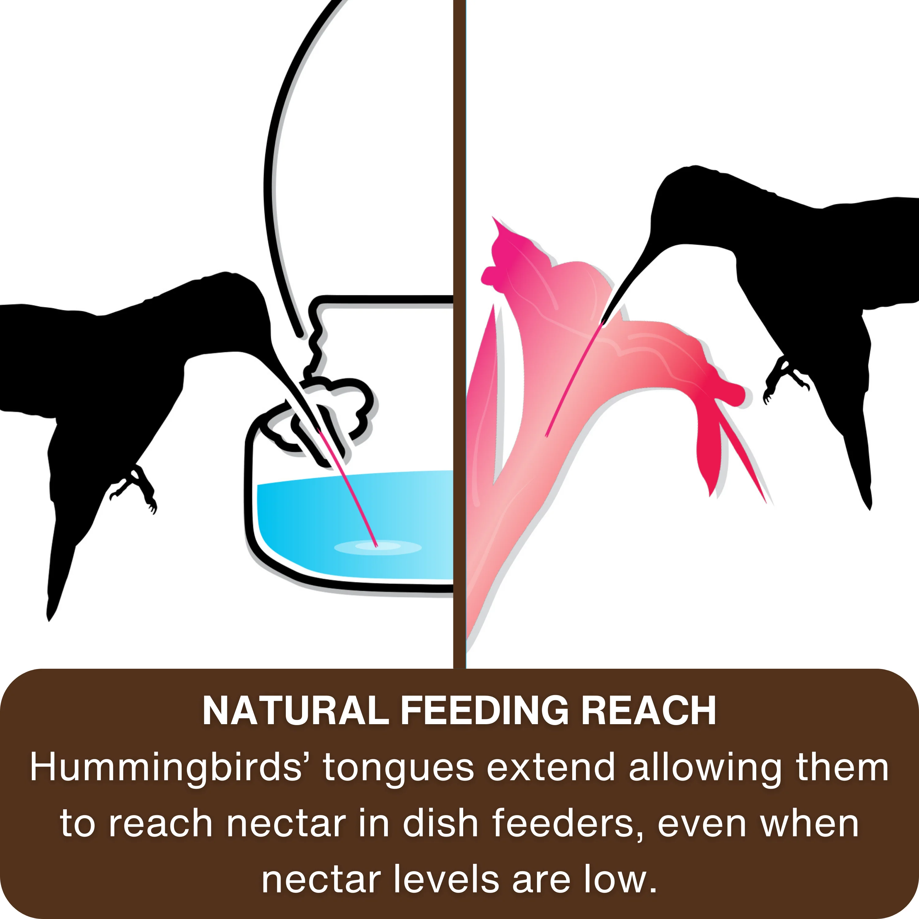 Antique Teal Mason Jar Glass Top-Fill Dish Hummingbird Feeder - Image 5