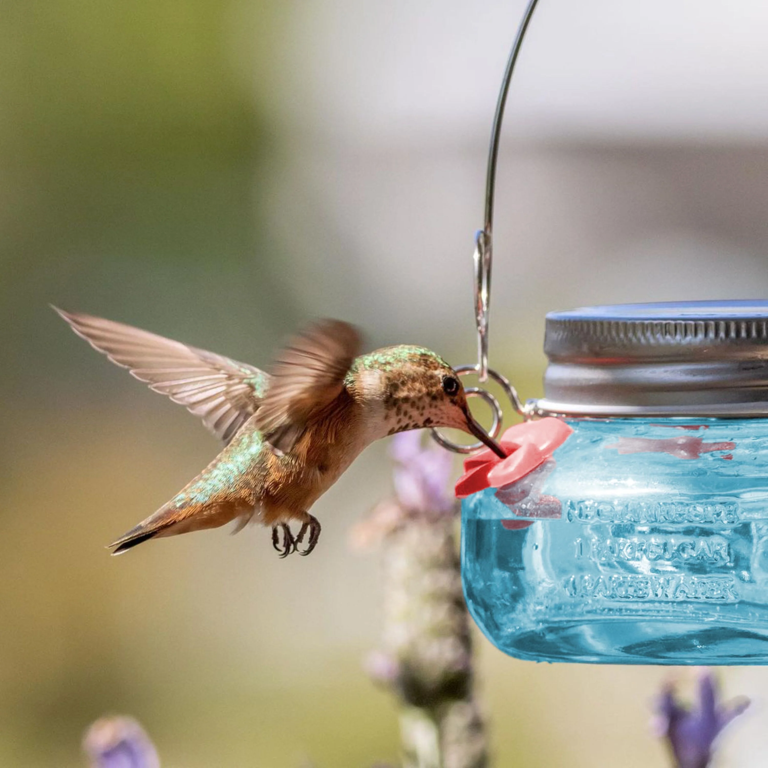 Antique Teal Mason Jar Glass Top-Fill Dish Hummingbird Feeder - Image 9