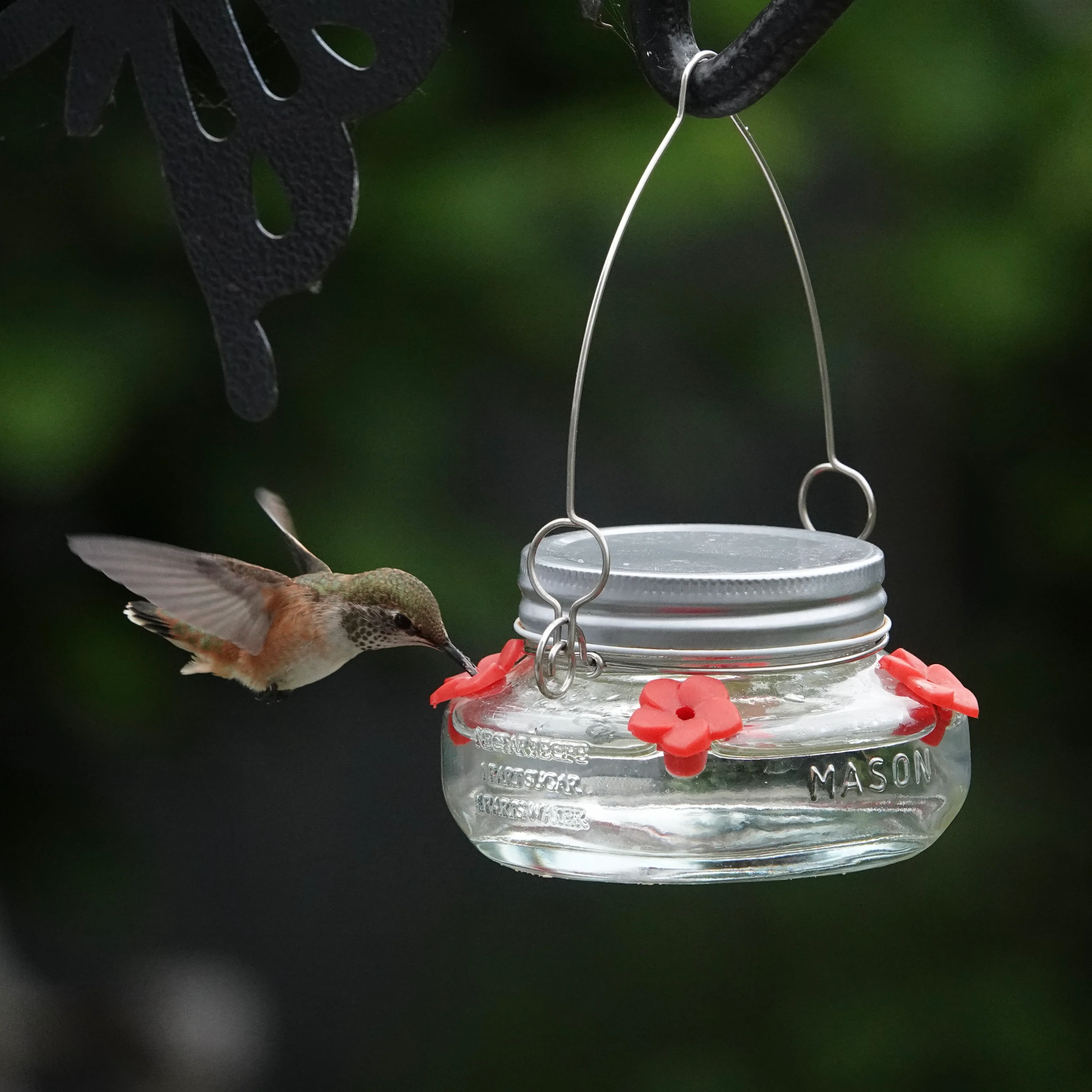 Mason Jar Glass Top-Fill Dish Hummingbird Feeder - Image 10