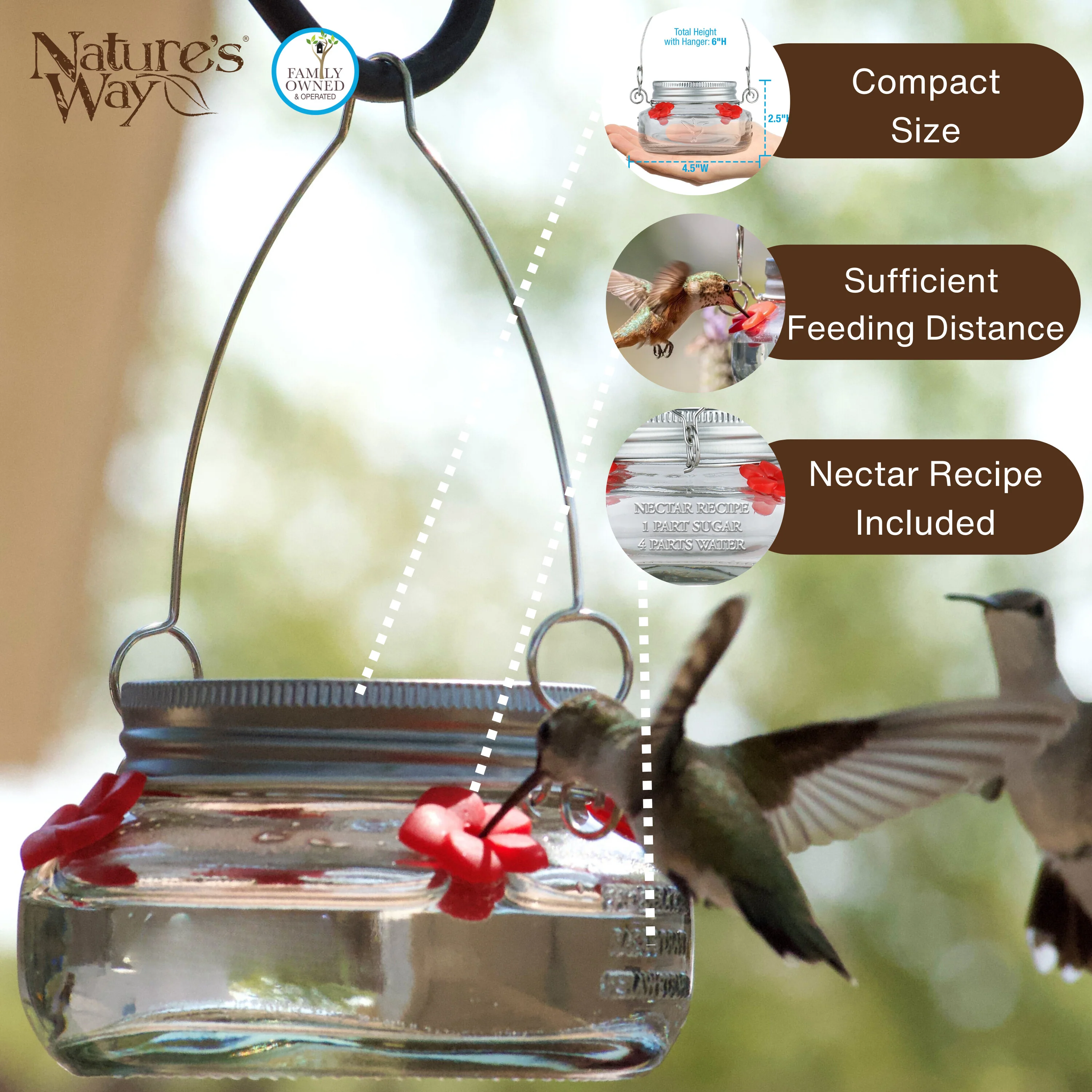 Mason Jar Glass Top-Fill Dish Hummingbird Feeder - Image 4