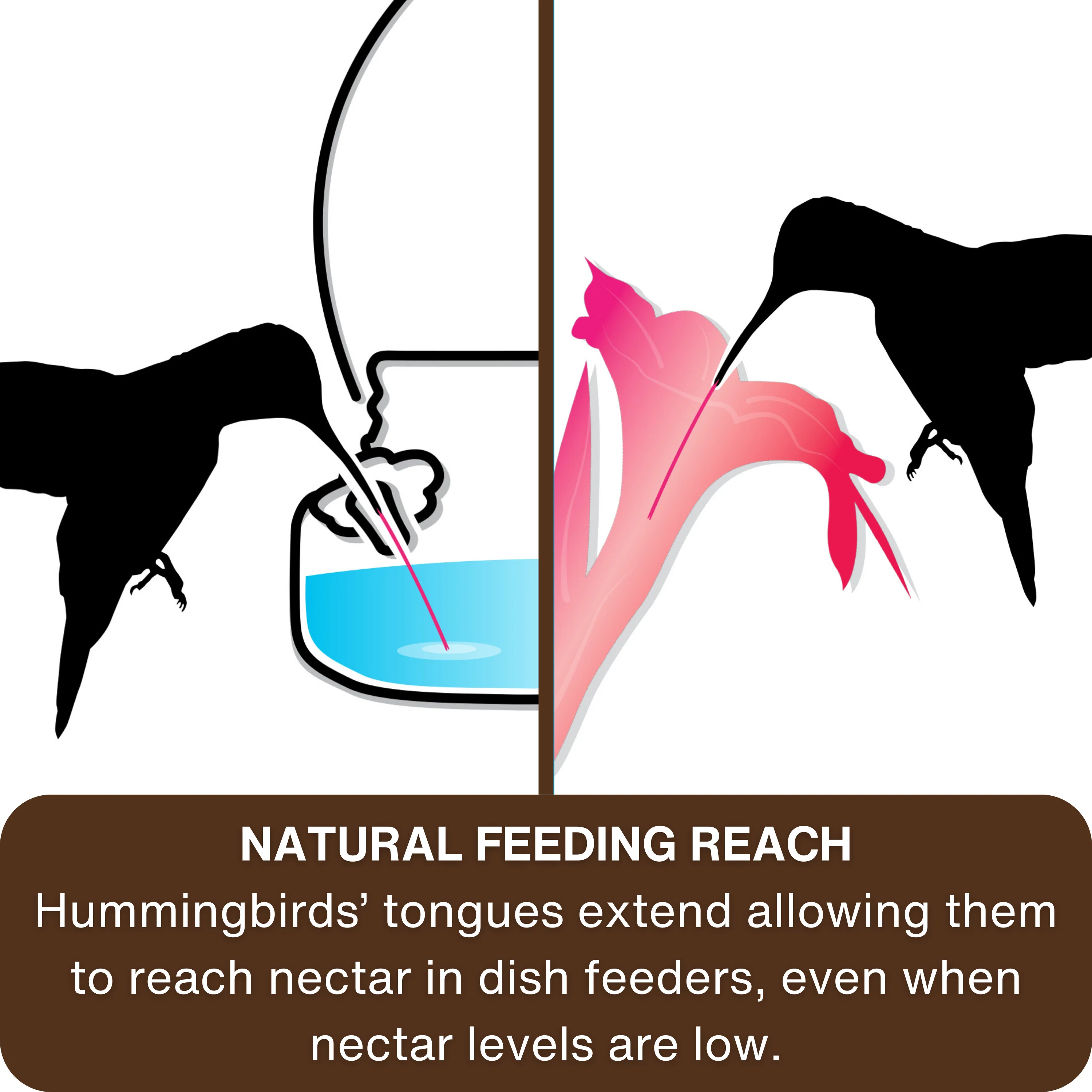 Mason Jar Glass Top-Fill Dish Hummingbird Feeder - Image 6