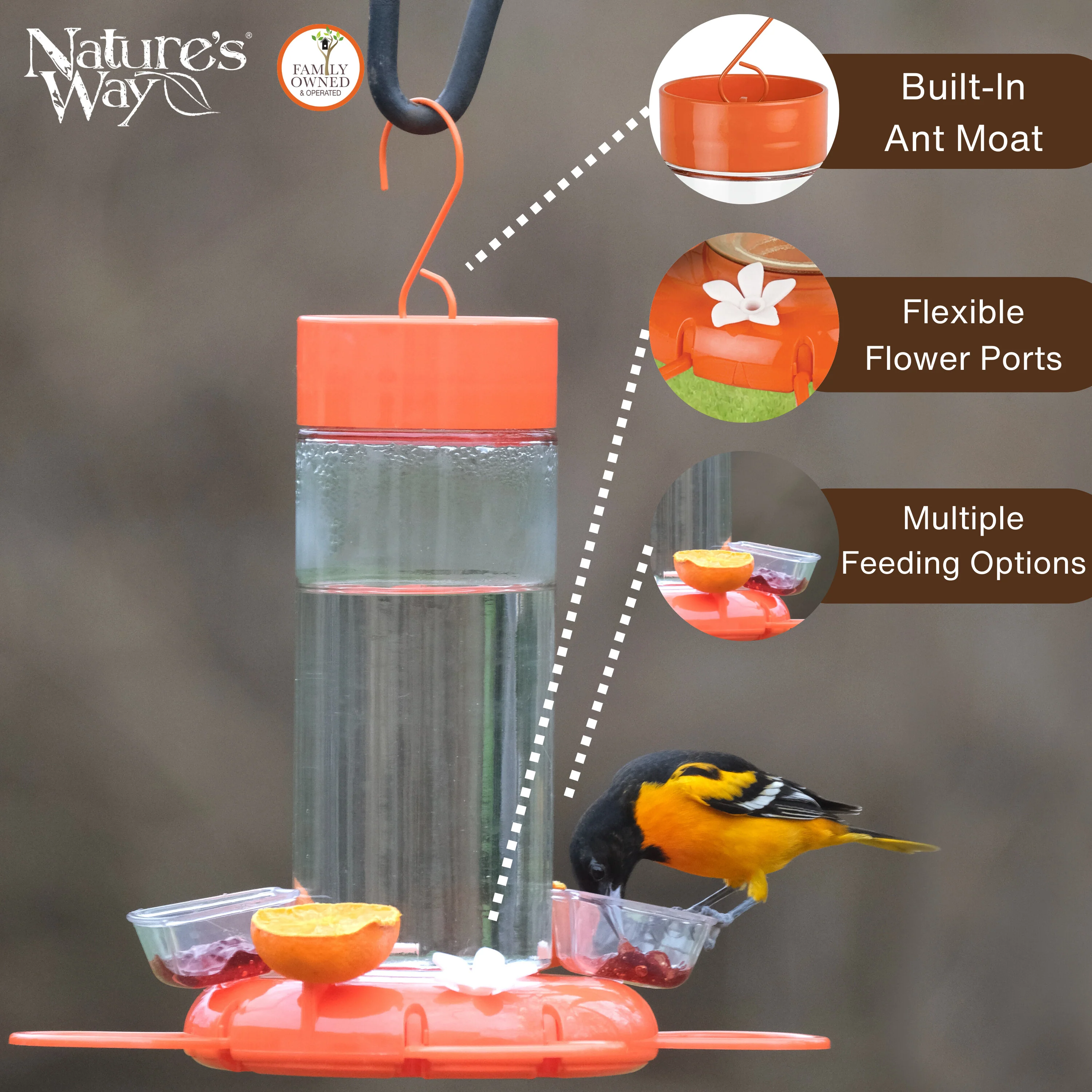 Orange Blossom Glass Oriole Feeder w/ Jelly Attachments - Image 3