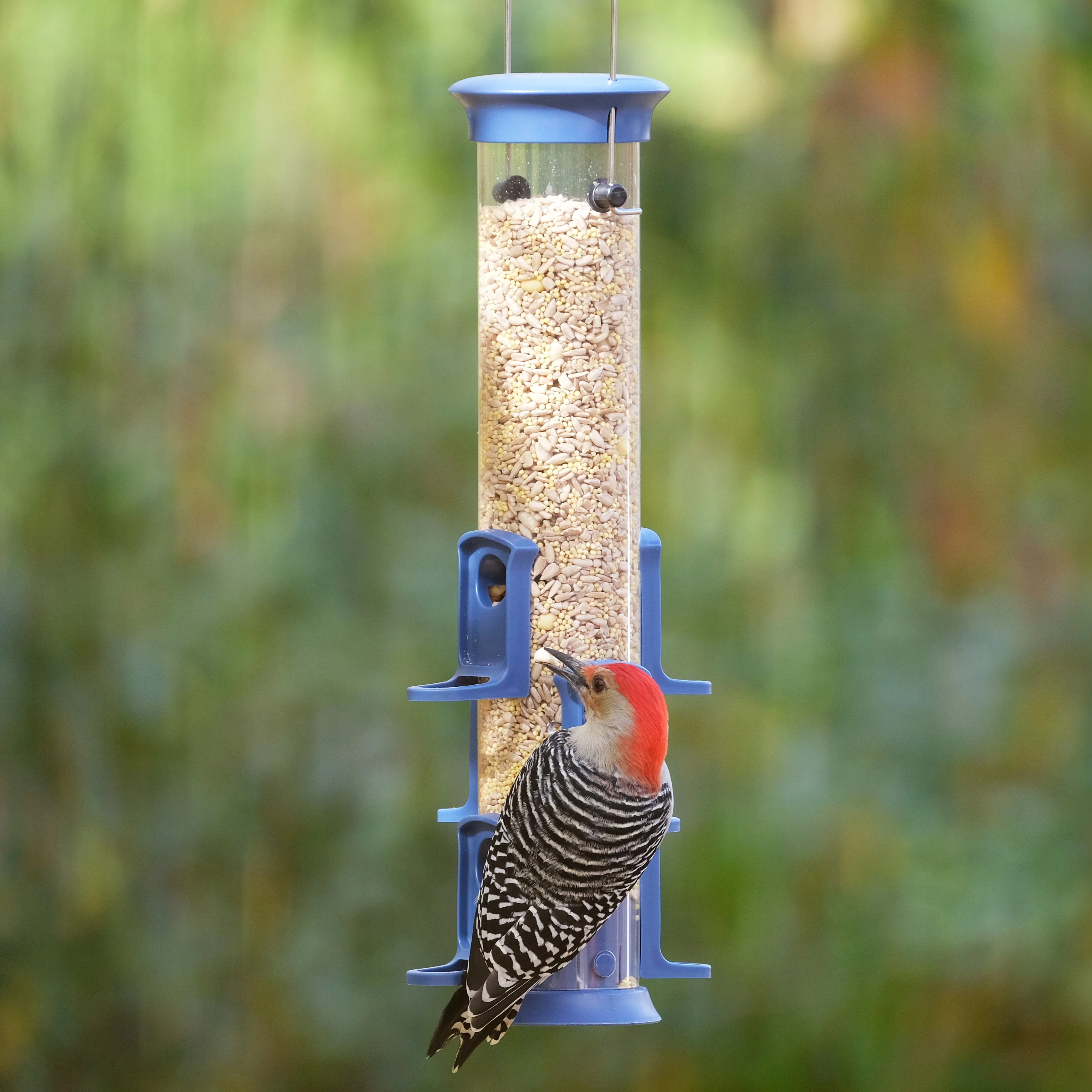 Plastic Tube Bird Feeder - Blue - Image 11