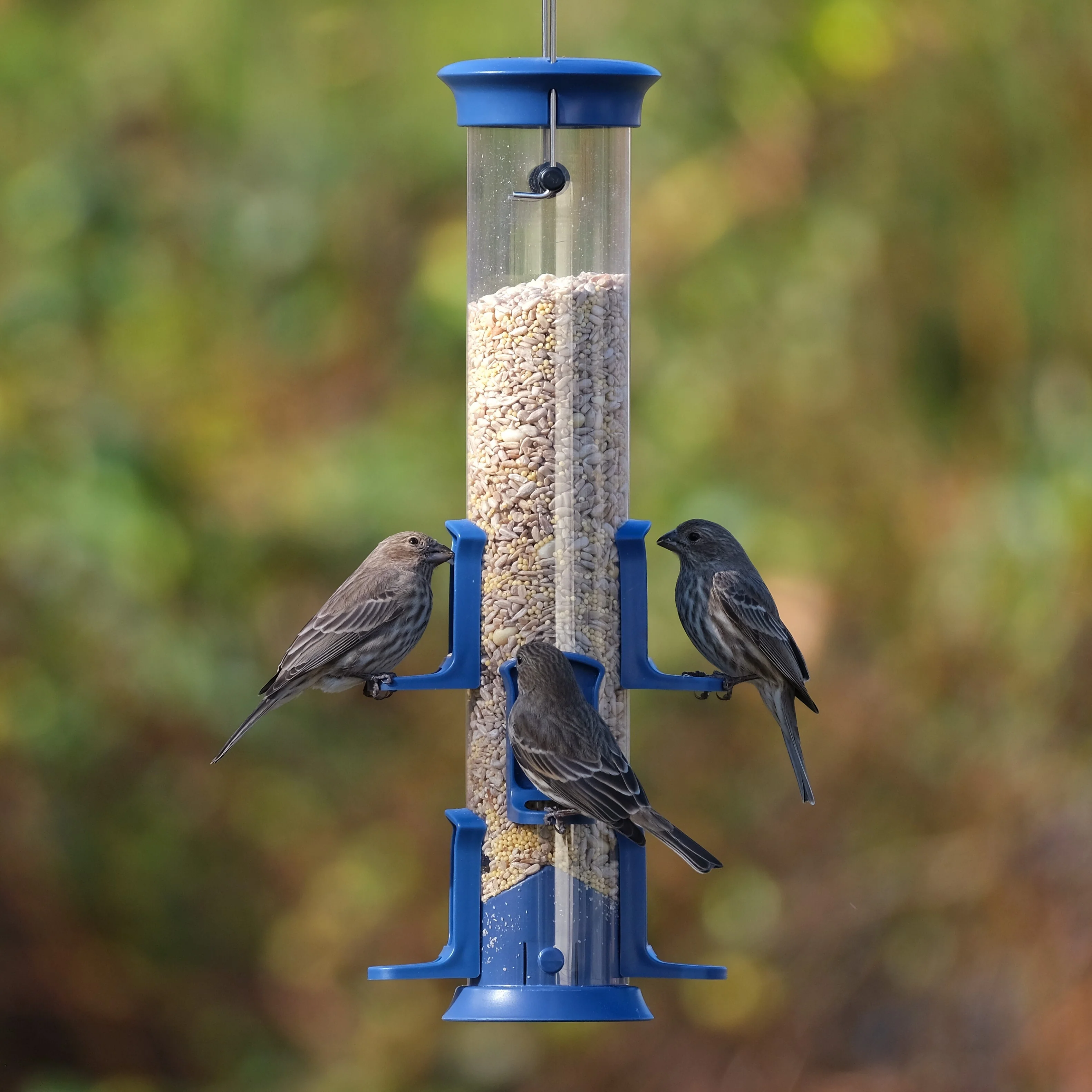 Plastic Tube Bird Feeder - Blue - Image 7