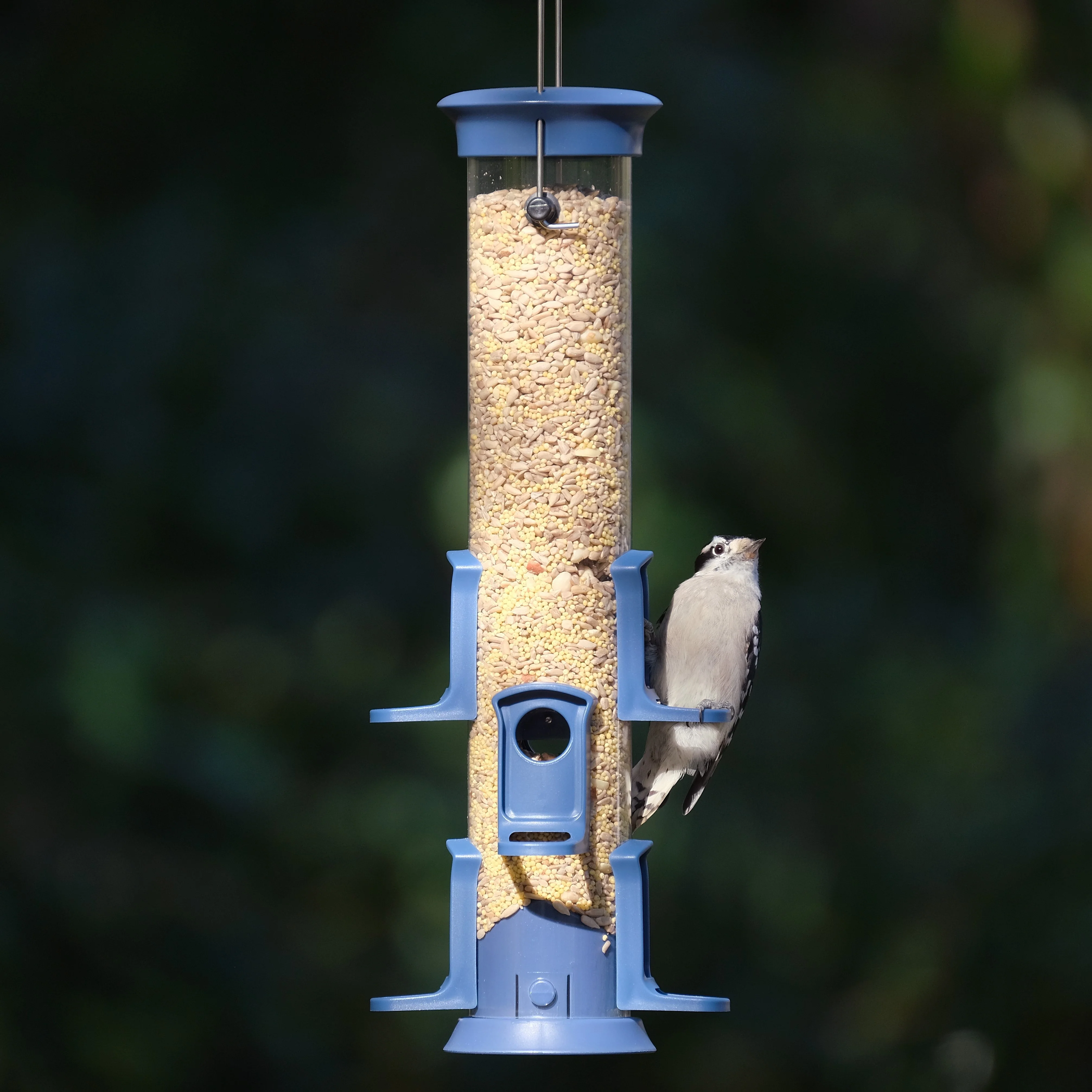 Plastic Tube Bird Feeder - Blue - Image 9