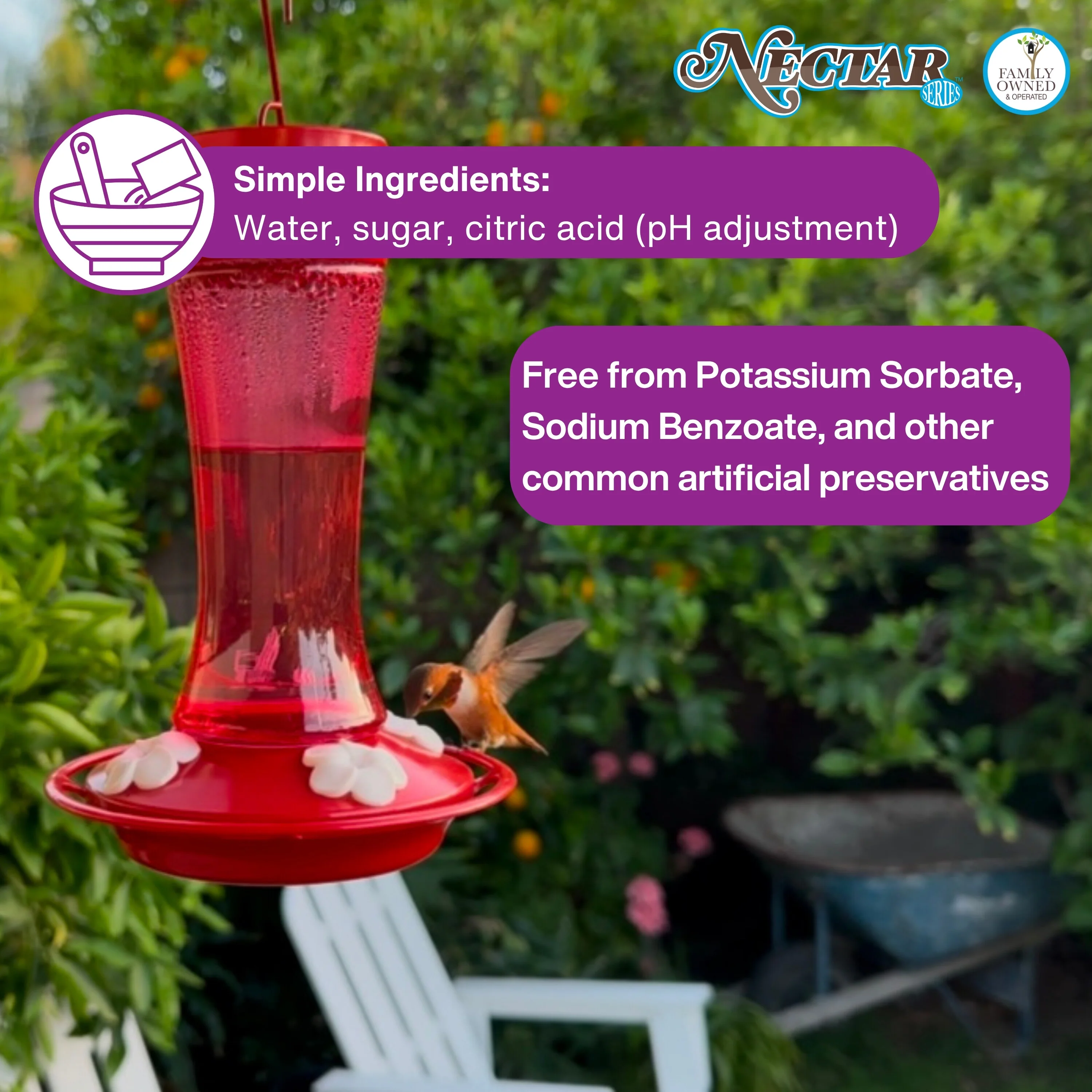 Nectar Series™ Ready-to-Use Clear Hummingbird Nectar, 51 oz - Image 6