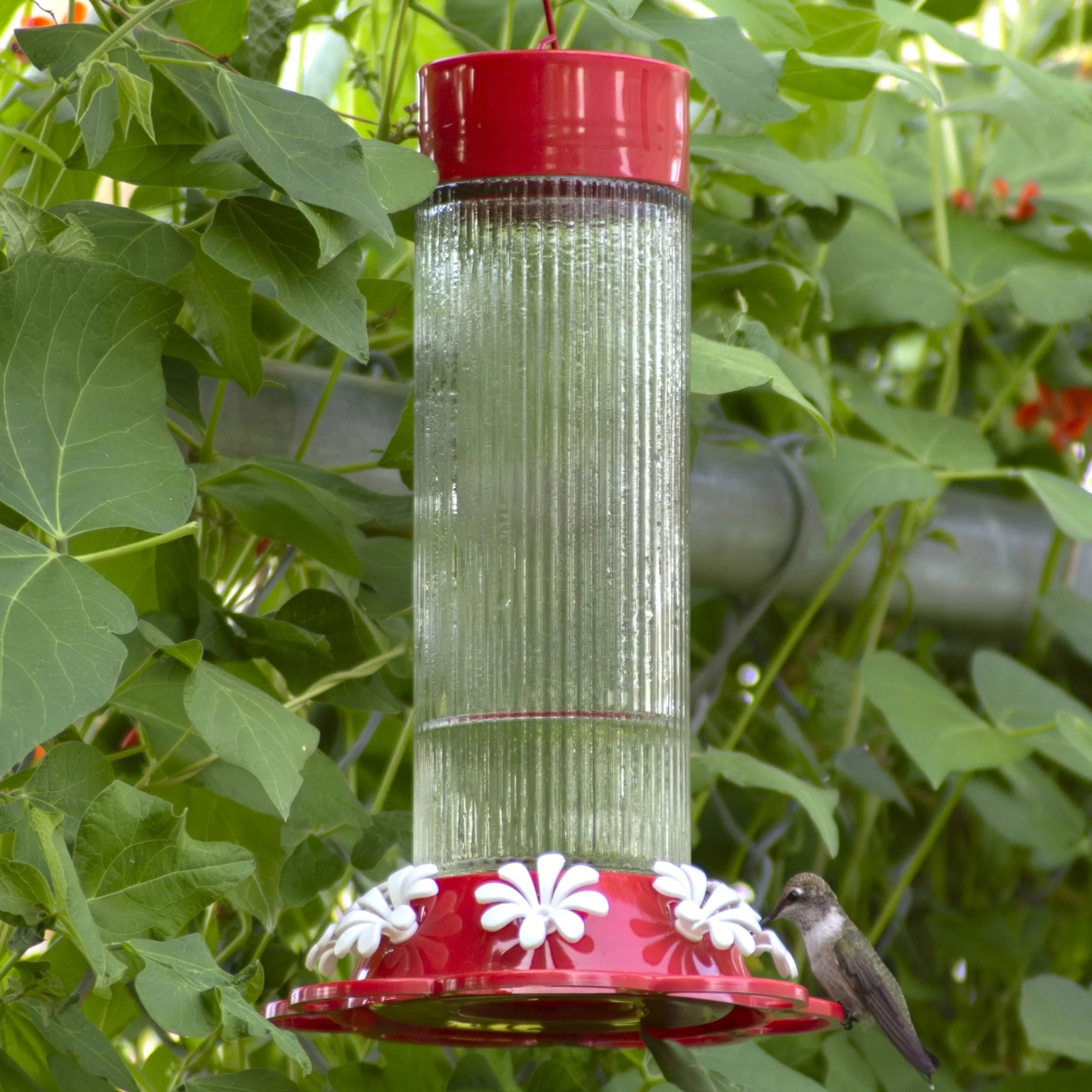 Ribbed Rose Glass Gravity Hummingbird Feeder - Image 10