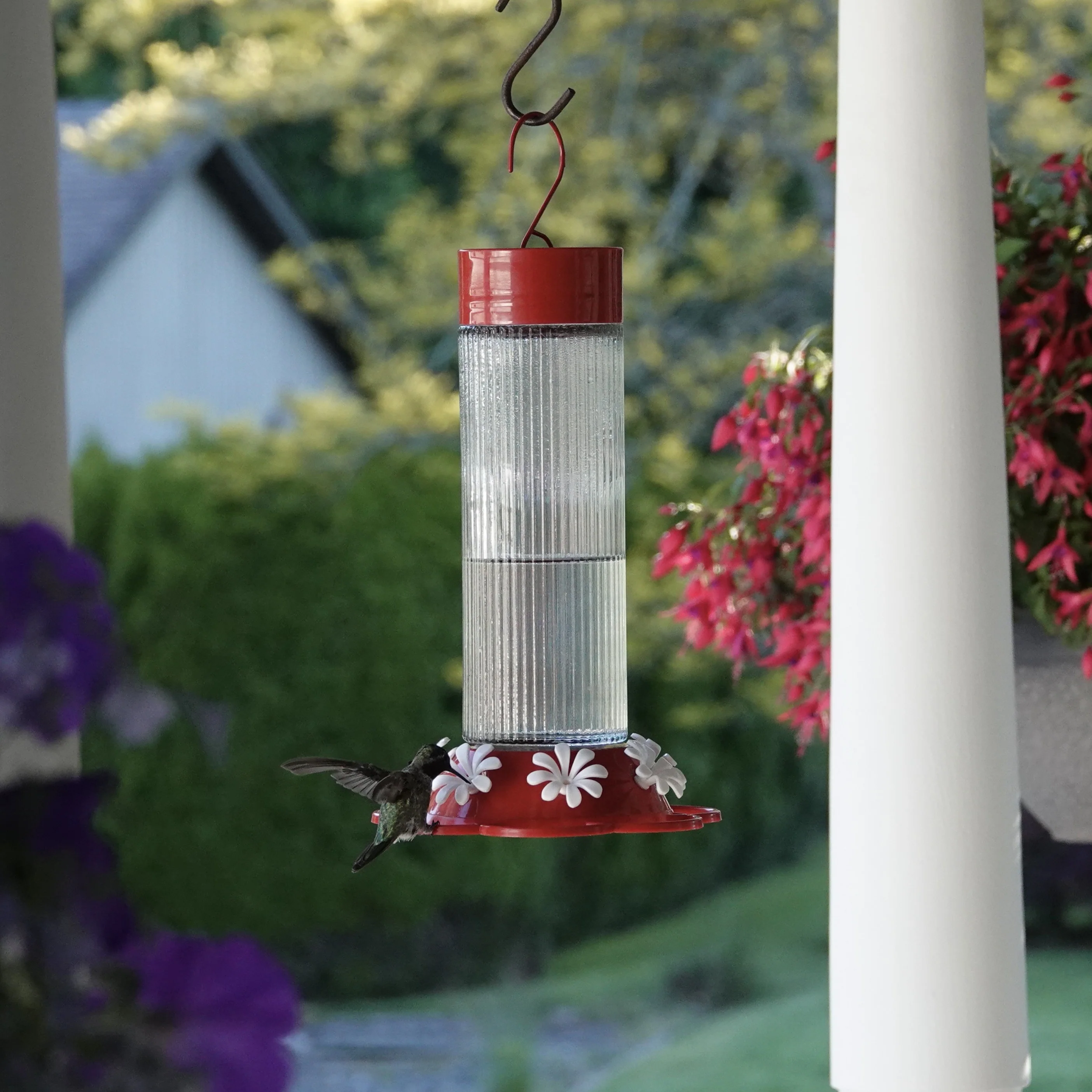 Ribbed Rose Glass Gravity Hummingbird Feeder - Image 7