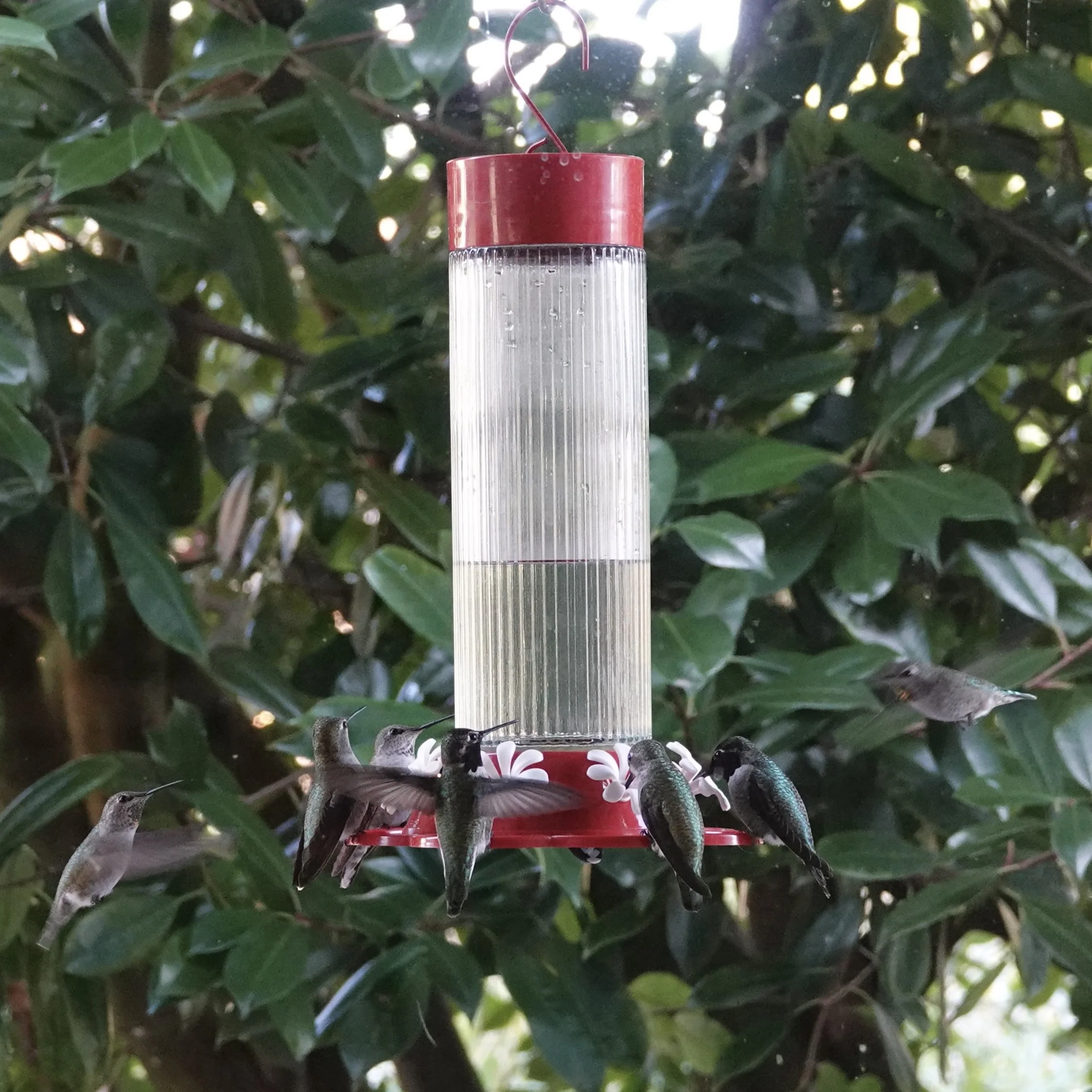 Ribbed Rose Glass Gravity Hummingbird Feeder - Image 8