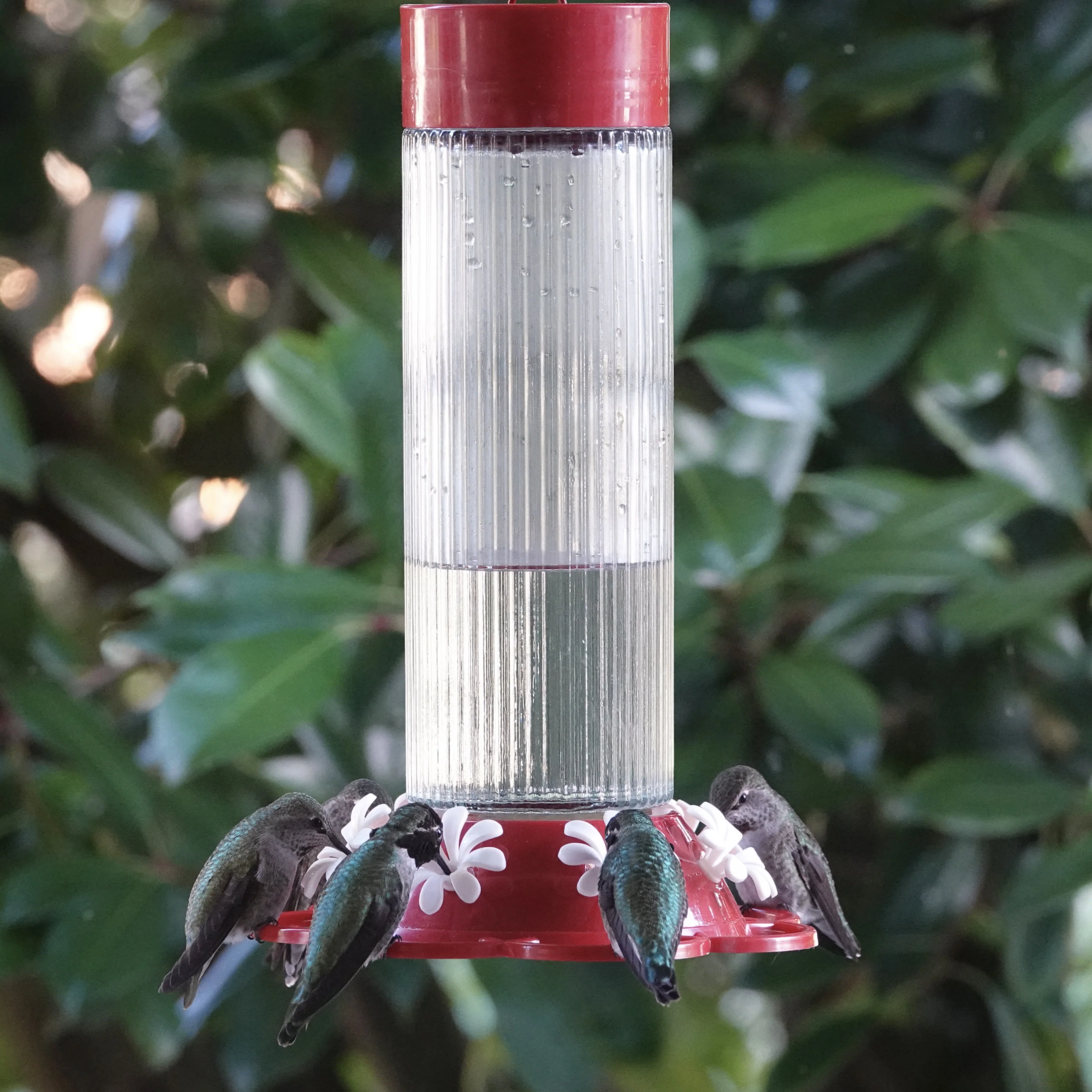 Ribbed Rose Glass Gravity Hummingbird Feeder - Image 9