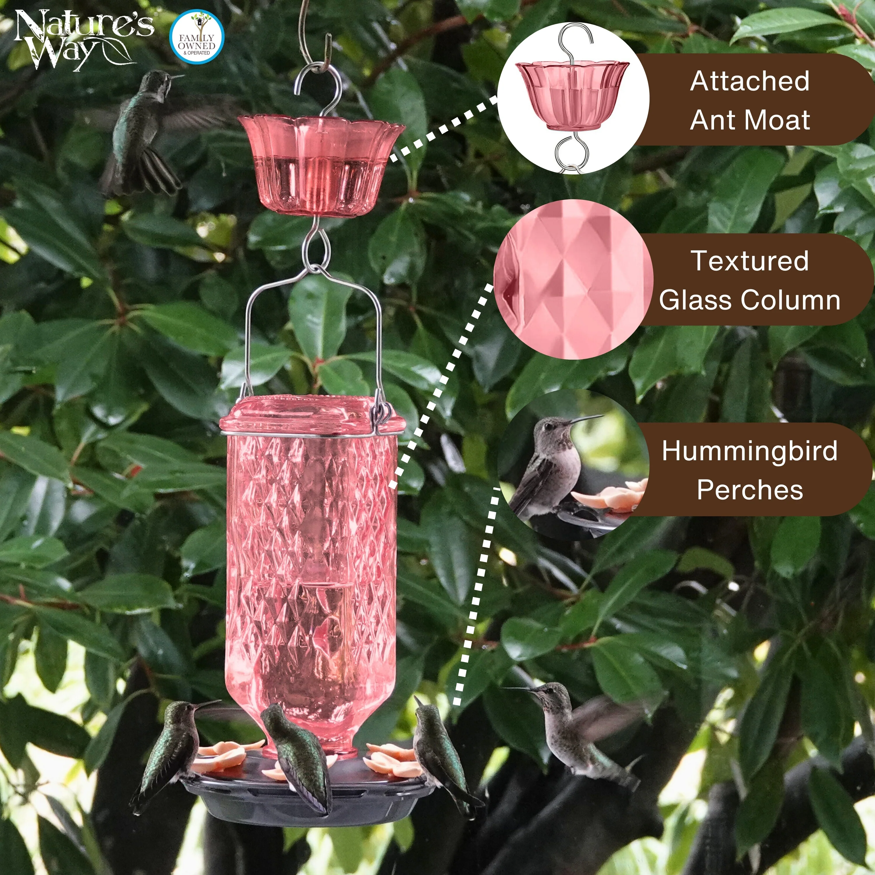 Rosewood Column Antique Glass Gravity Hummingbird Feeder with Ant Moat - Image 3