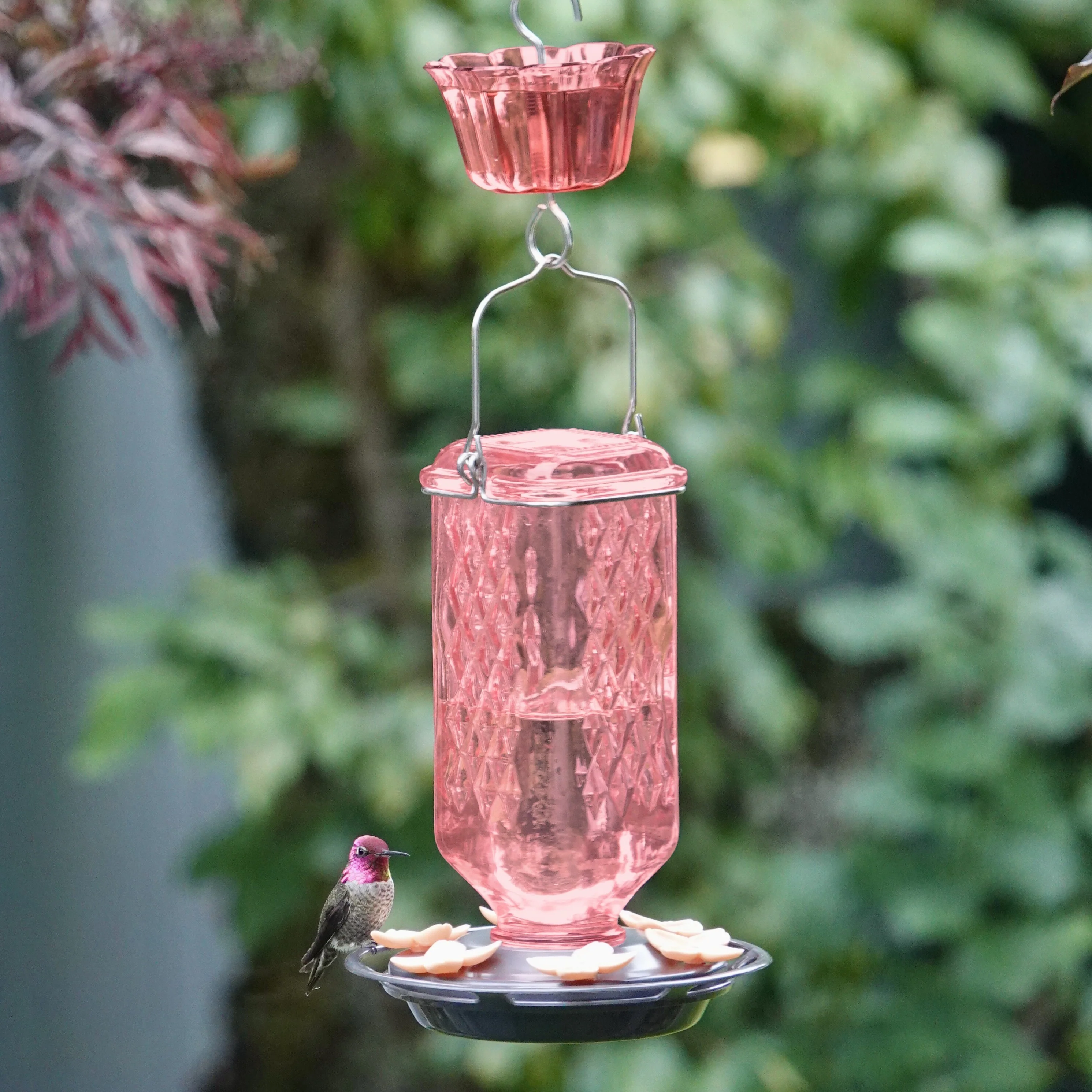 Rosewood Column Antique Glass Gravity Hummingbird Feeder with Ant Moat - Image 7