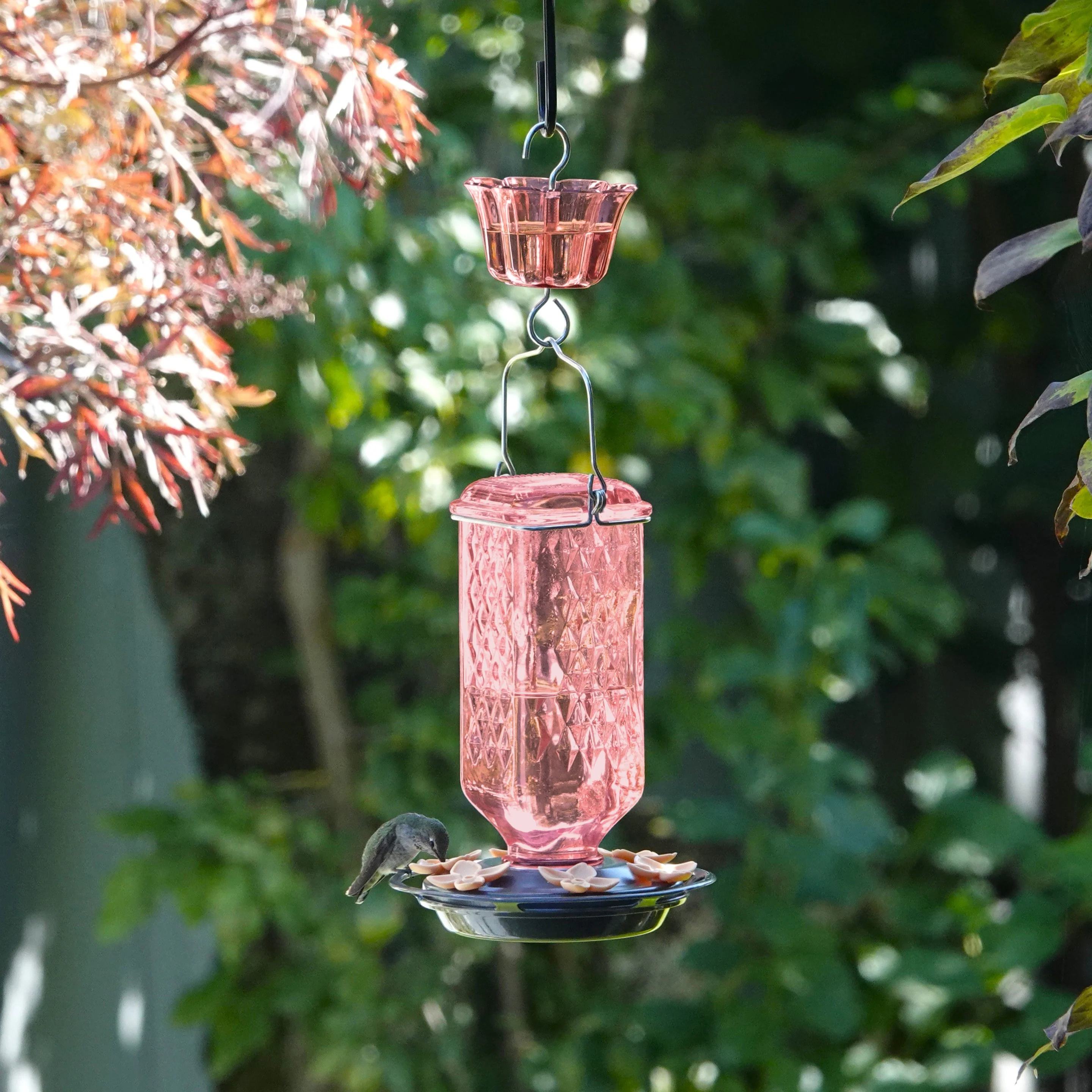 Rosewood Column Antique Glass Gravity Hummingbird Feeder with Ant Moat - Image 8