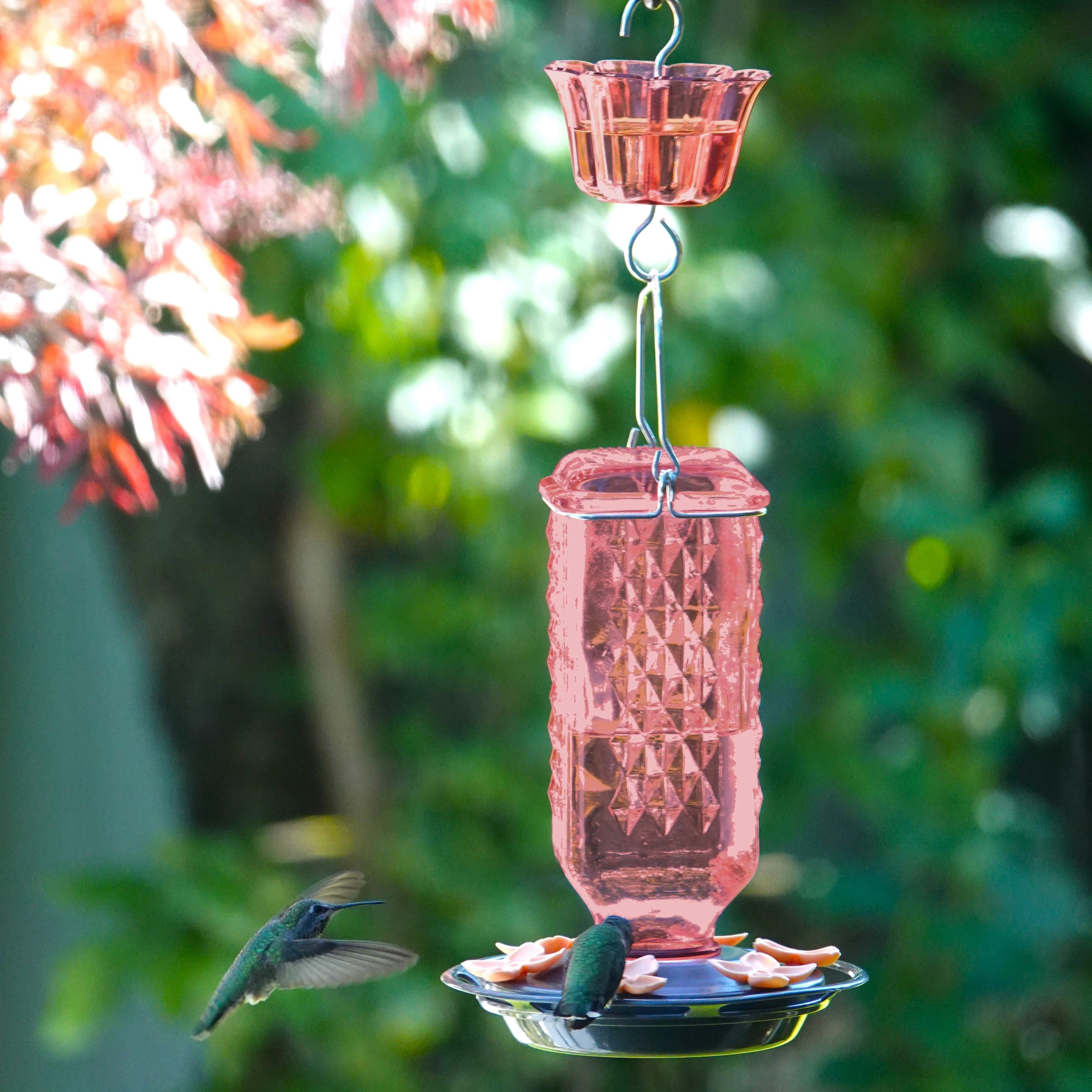 Rosewood Column Antique Glass Gravity Hummingbird Feeder with Ant Moat - Image 9