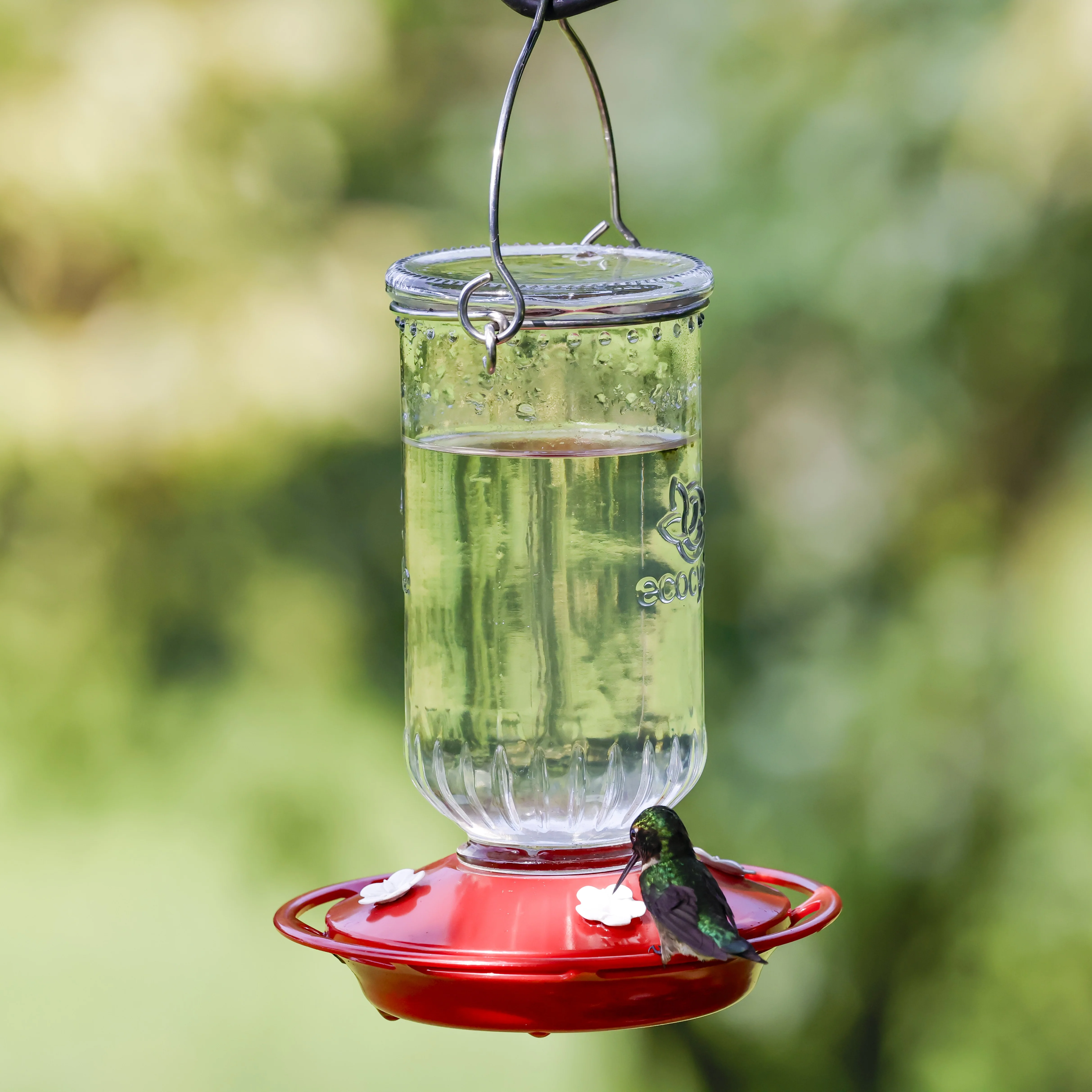 Ruby Roost Recycled Glass Hummingbird Feeder - Image 8