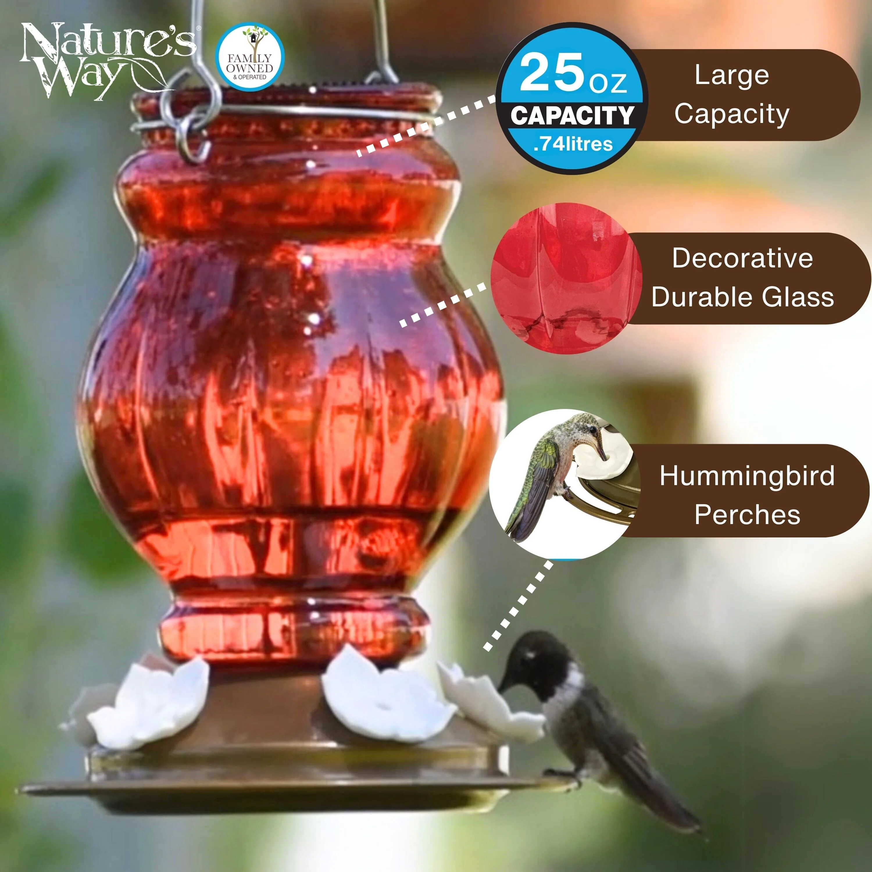 Ruby Visions Antique Glass Gravity Hummingbird Feeder - Image 3