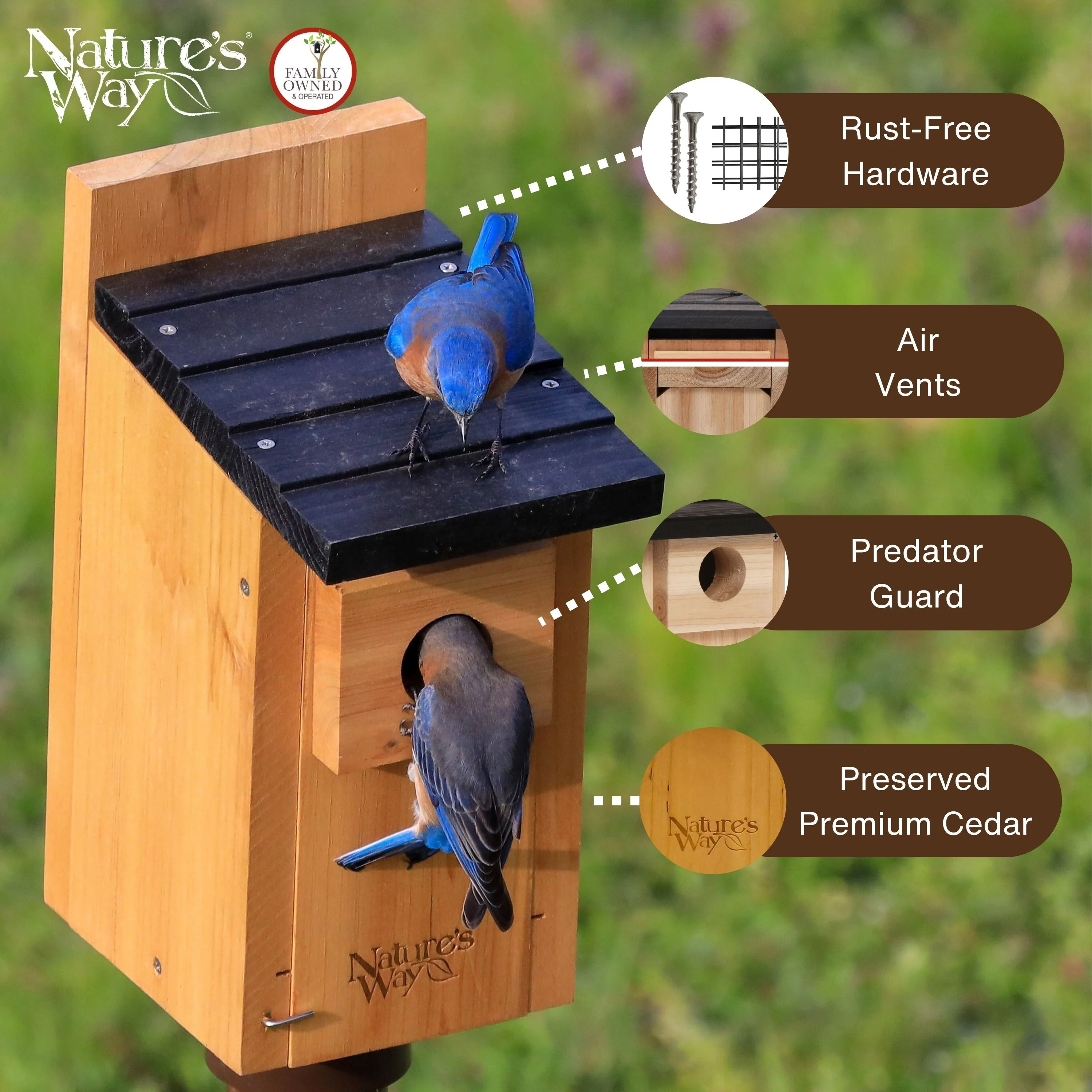 Cedar Bluebird House with Clean-out Door and Predator Guard - Image 3