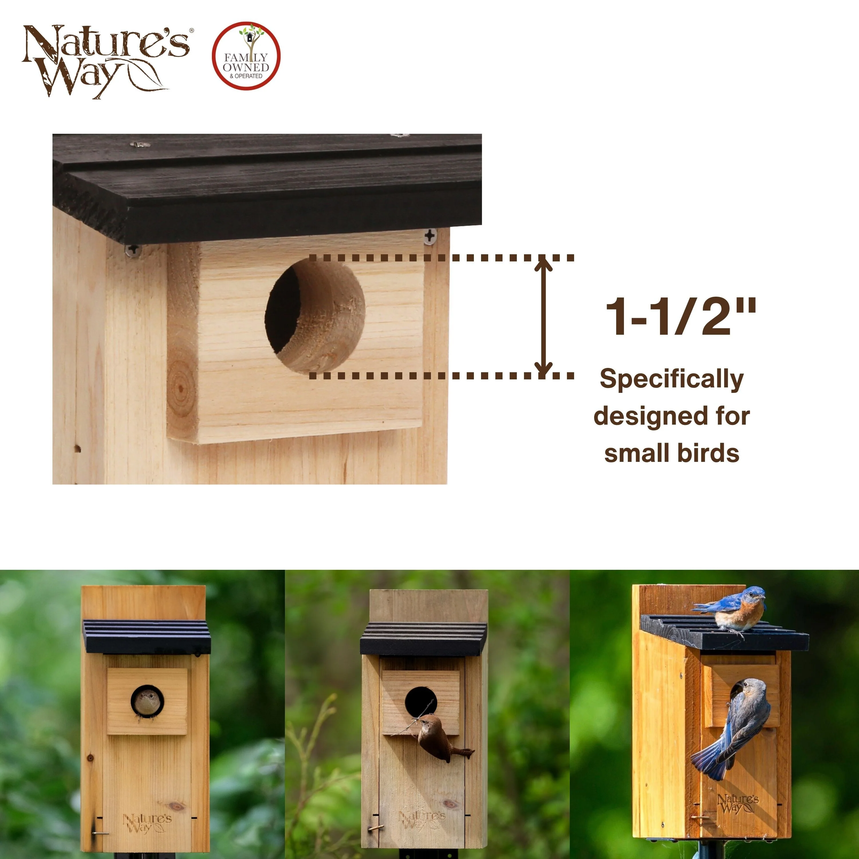 Cedar Bluebird House with Clean-out Door and Predator Guard - Image 5