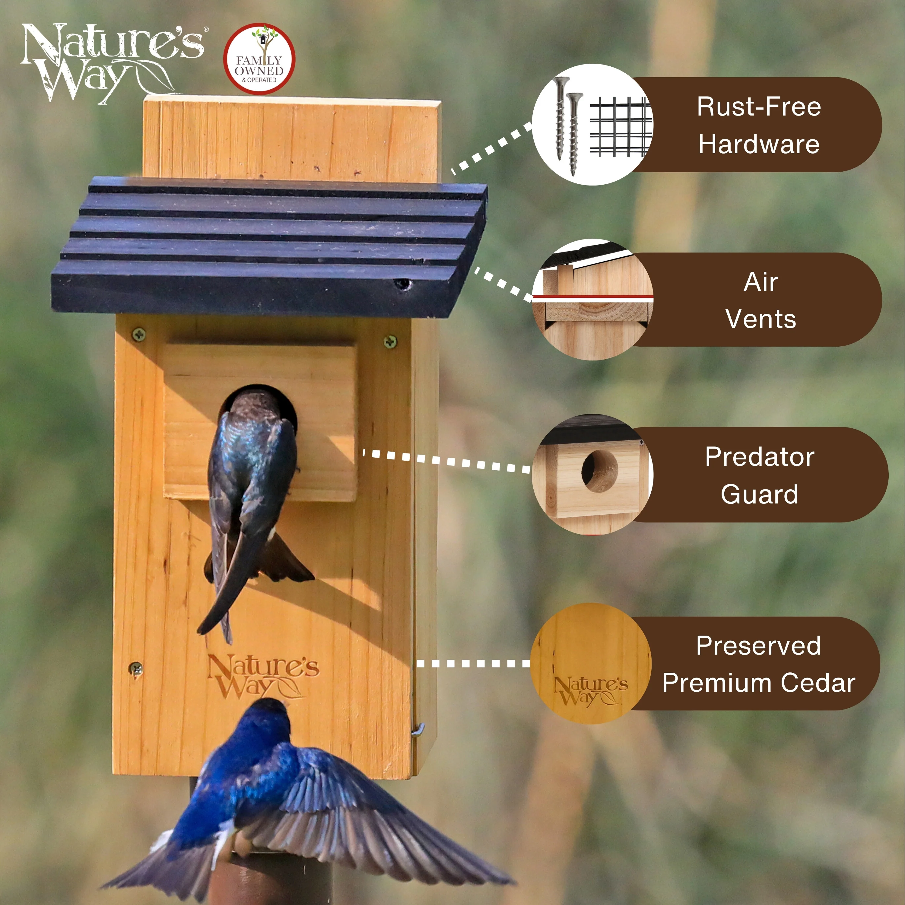 Cedar Bluebird House with Viewing Window and Clean-Out Door - Image 3