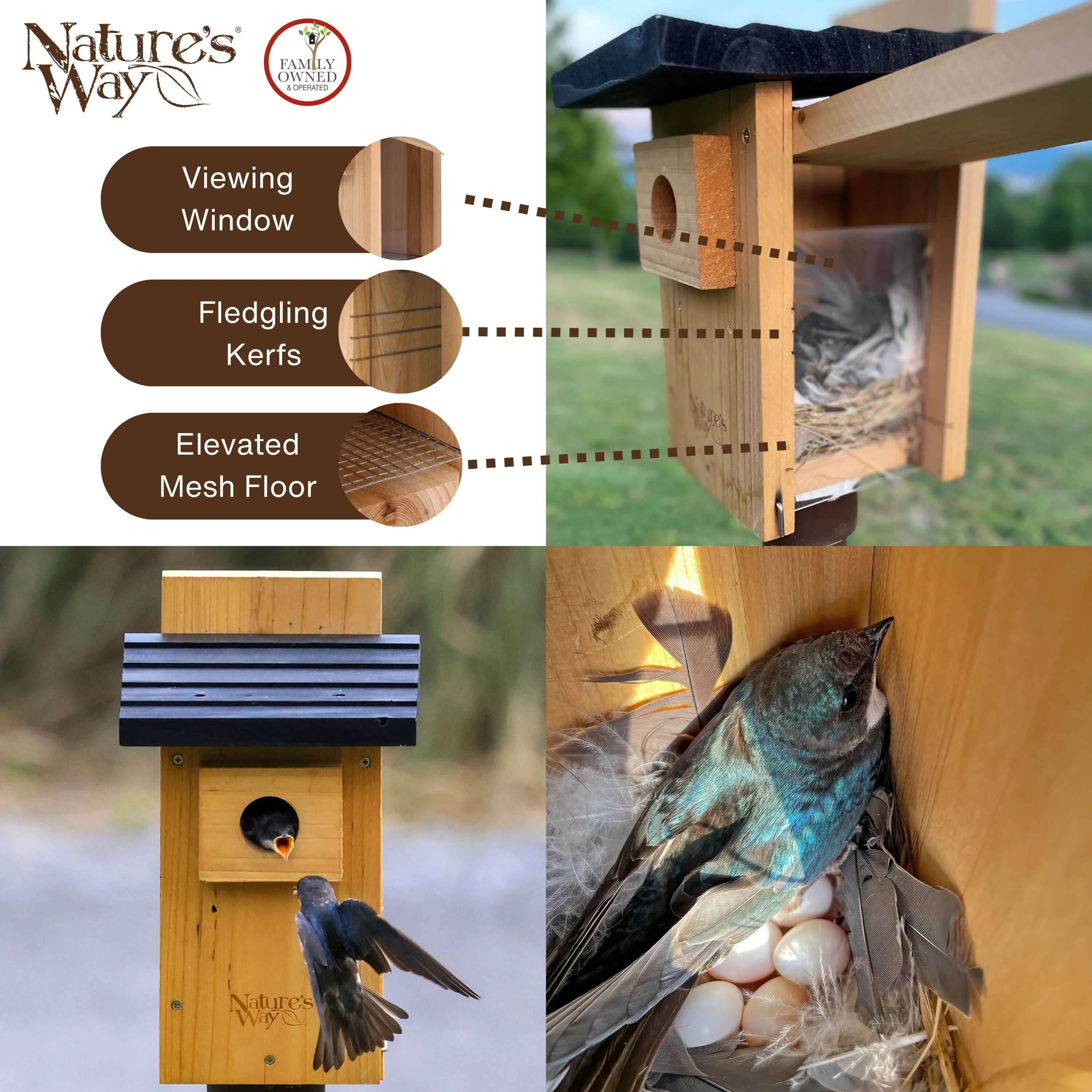 Cedar Bluebird House with Viewing Window and Clean-Out Door - Image 4