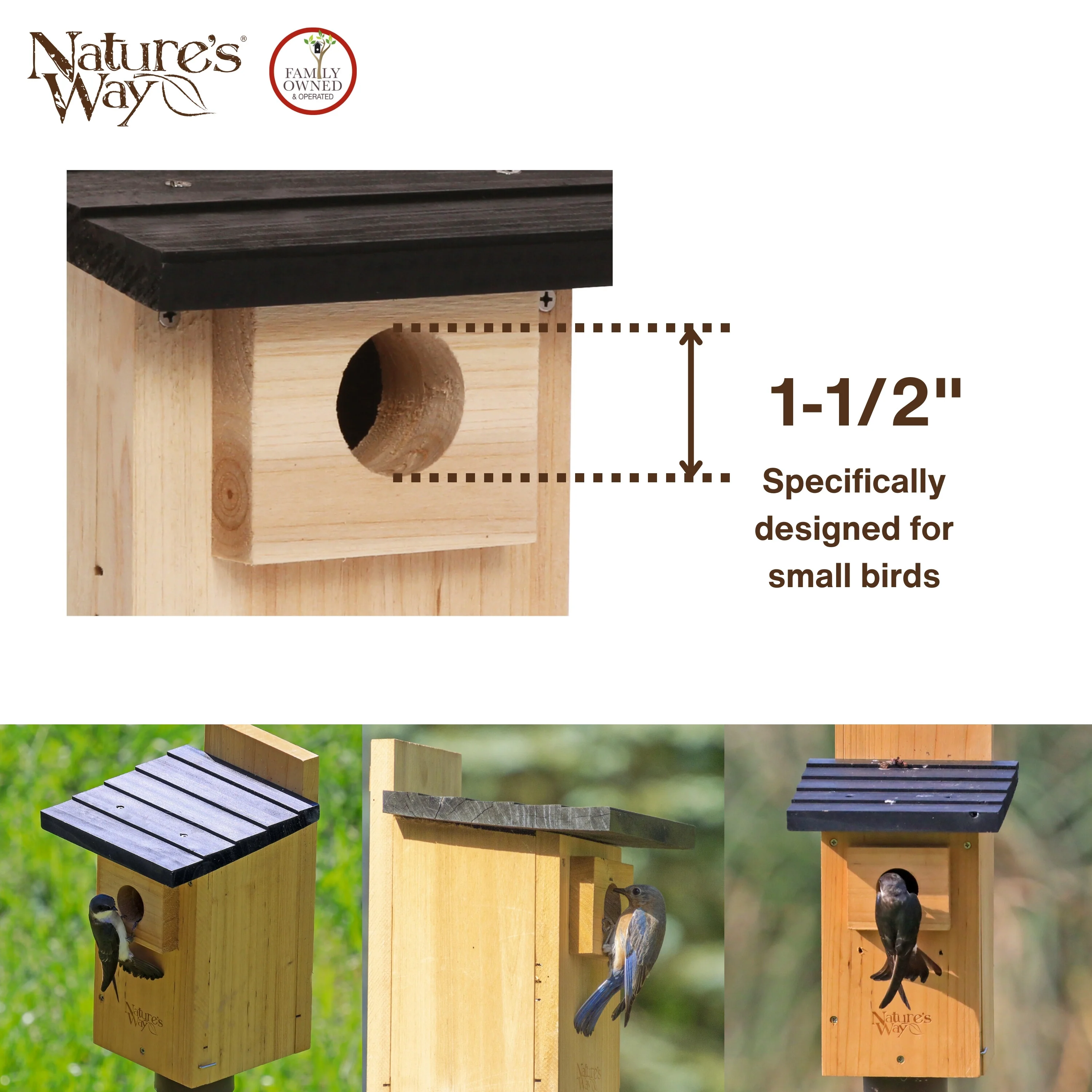 Cedar Bluebird House with Viewing Window and Clean-Out Door - Image 5