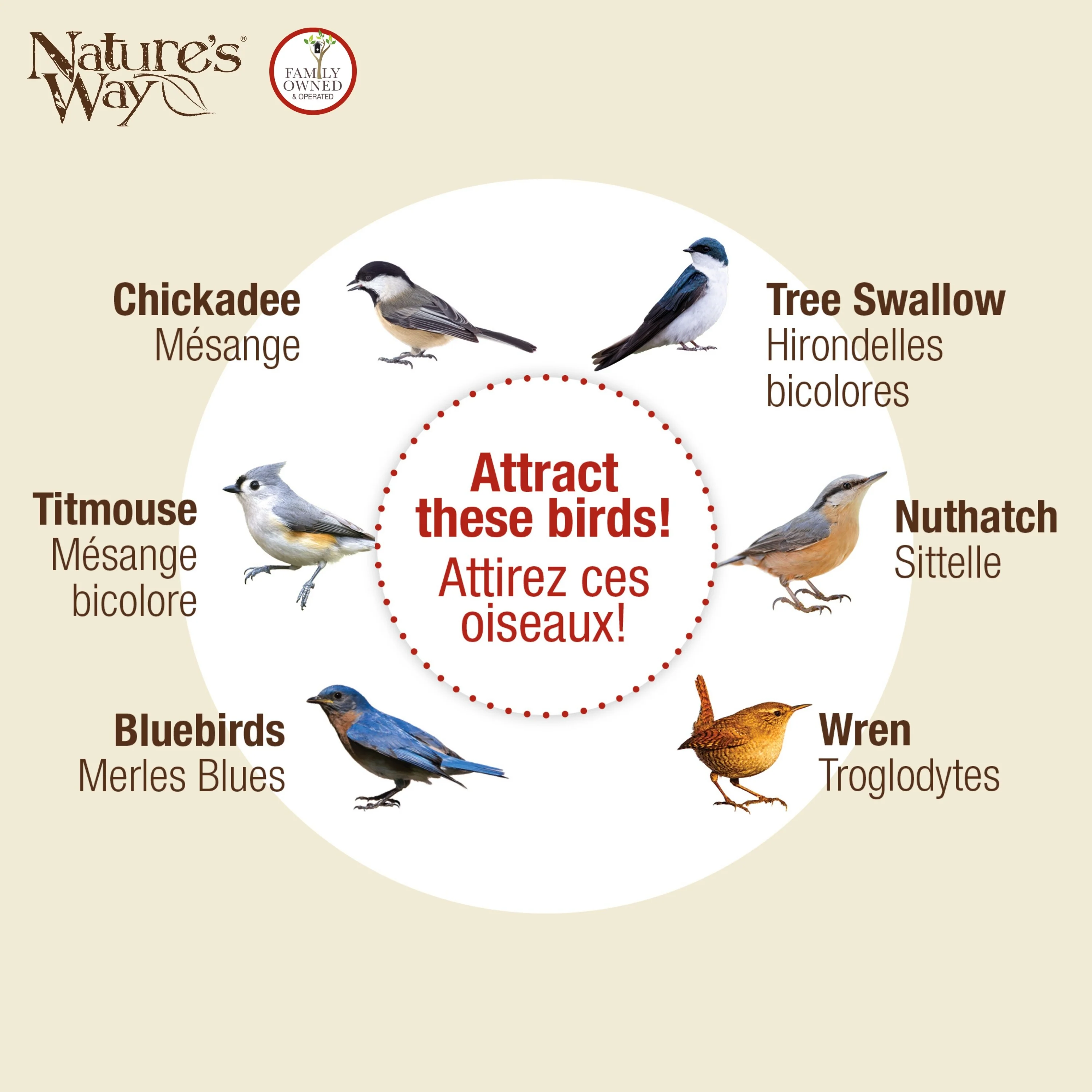 Cedar Bluebird House with Viewing Window and Clean-Out Door - Image 6